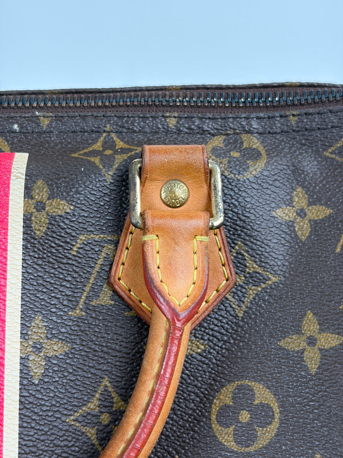 Borsa Louis Vuitton Speedy Marrone