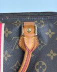 Borsa Louis Vuitton Speedy Marrone