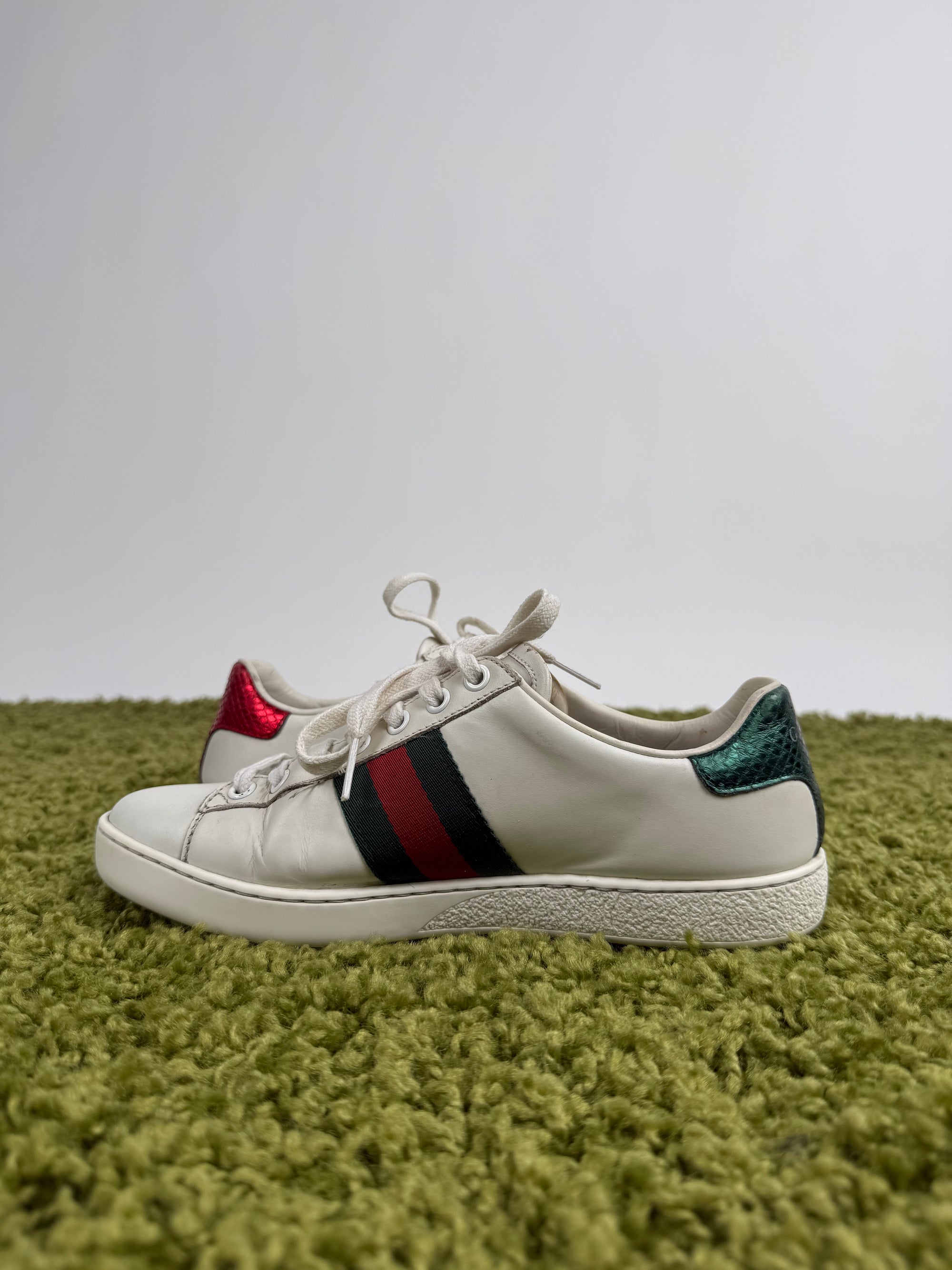 Gucci Ace Bianca 36