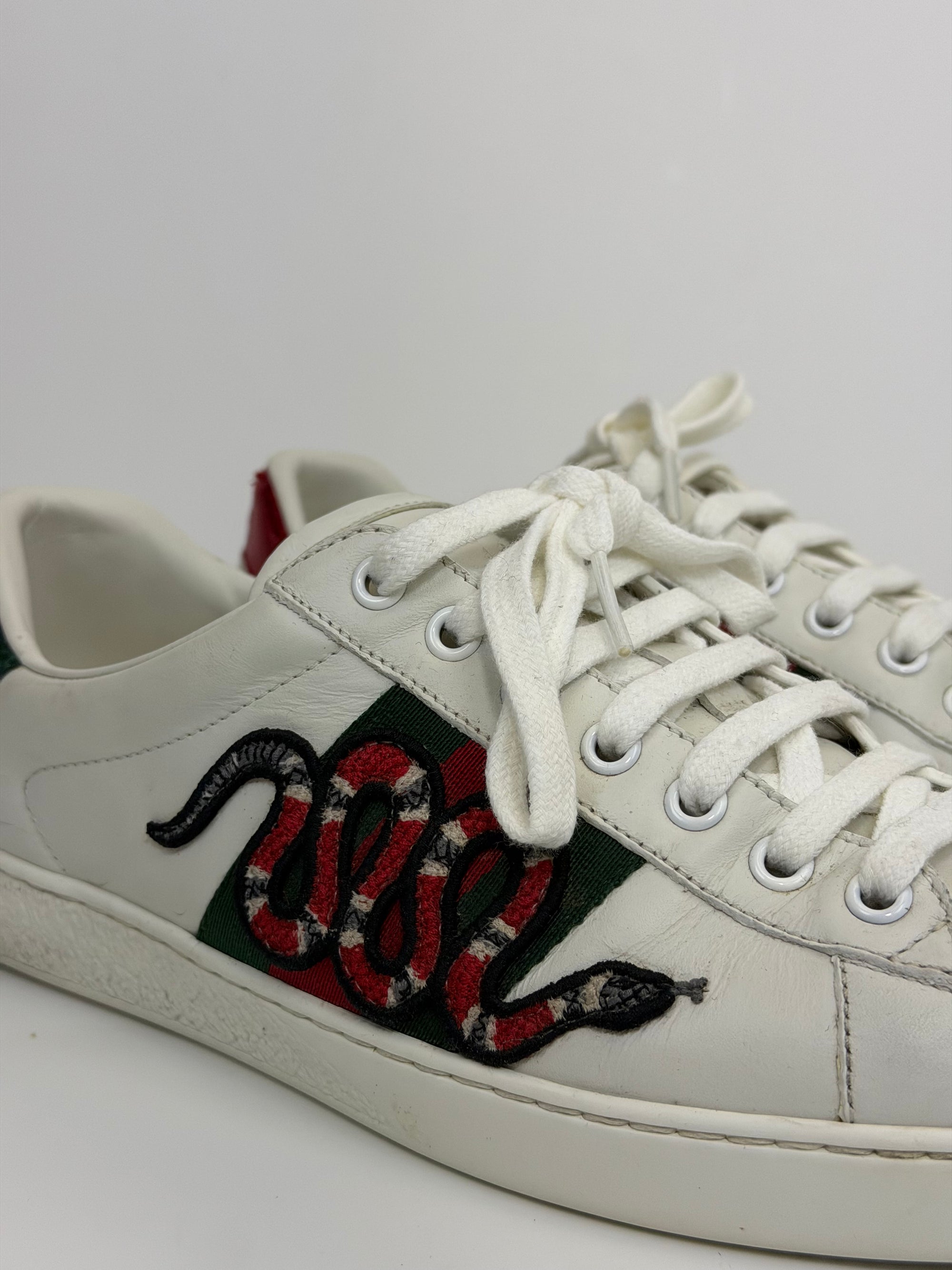 Gucci ace con serpente