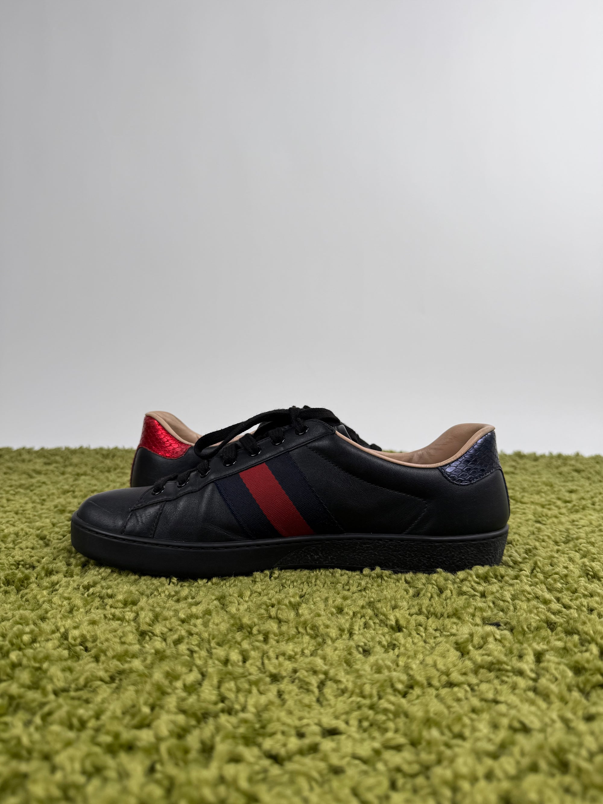 Gucci Ace Low Sneaker 43