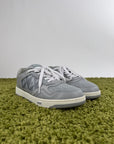 Christian Dior B27 Grigie 45
