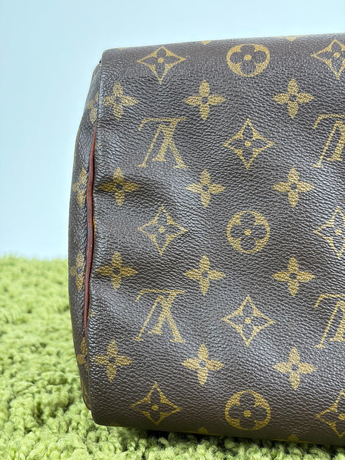 Borsa Louis Vuitton Speedy Marrone