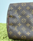 Borsa Louis Vuitton Speedy Marrone