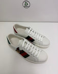 Gucci ace nuova