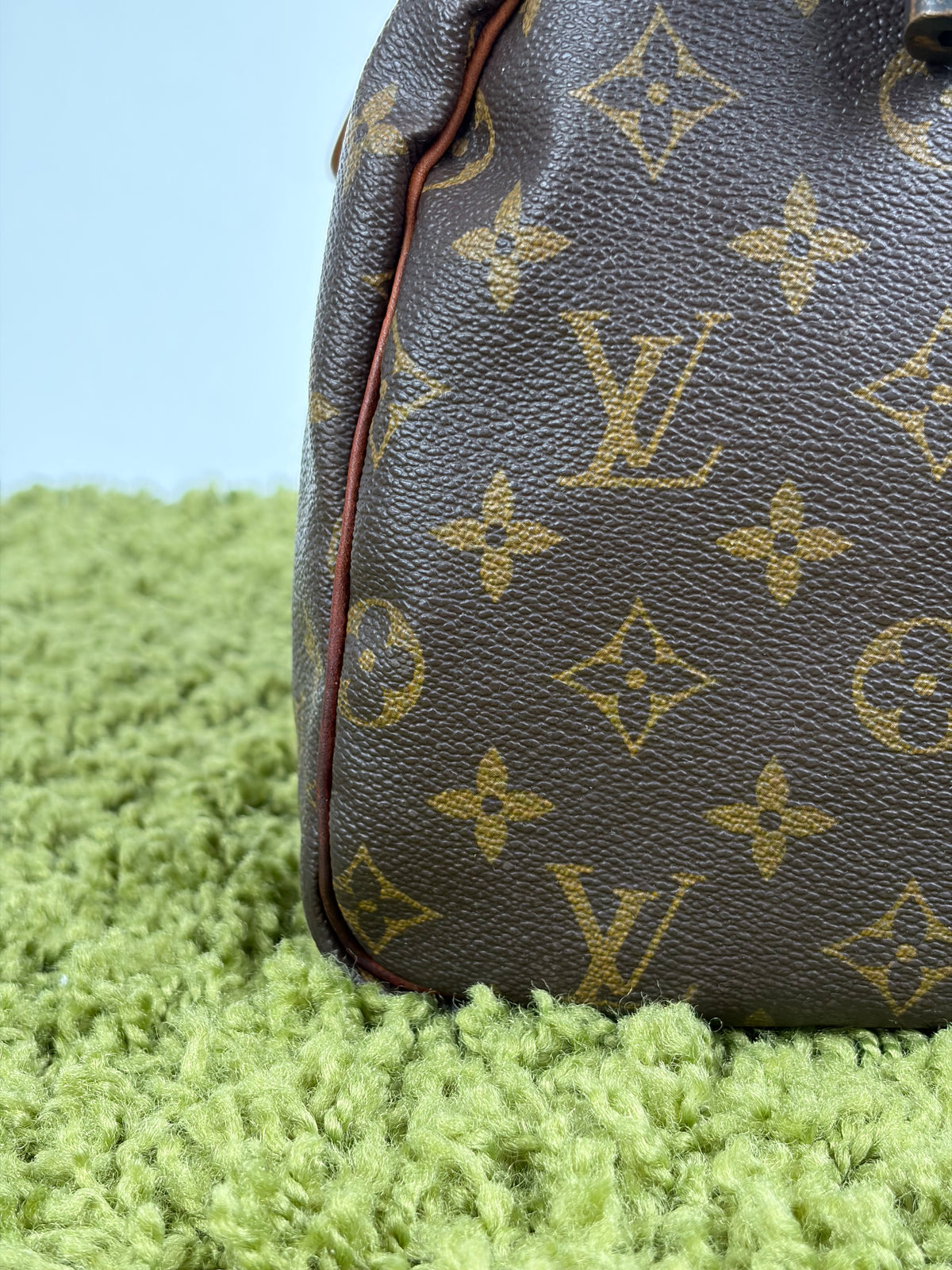 Borsa Louis Vuitton Speedy Marrone
