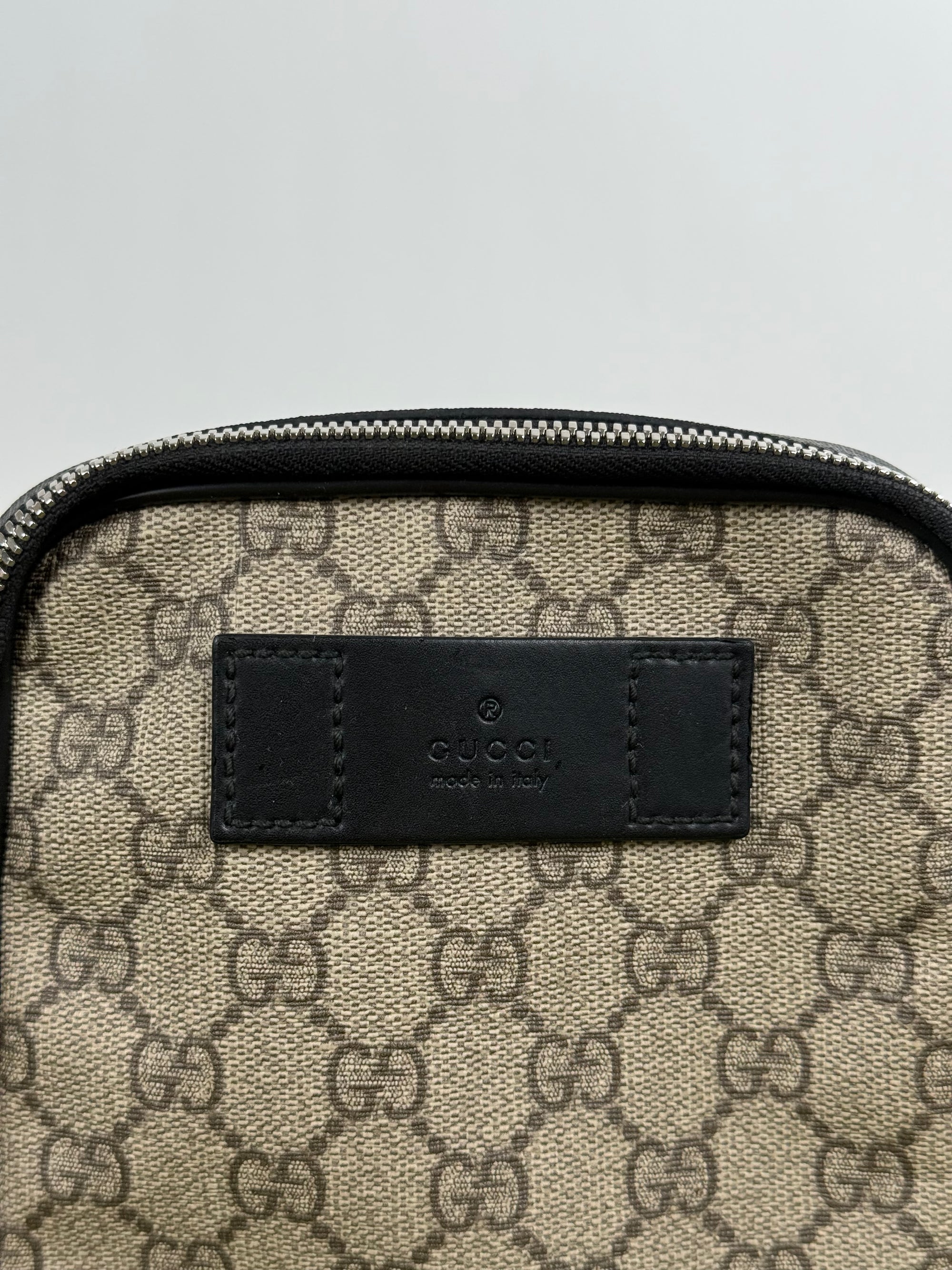 Gucci Double Belt Bag Beige