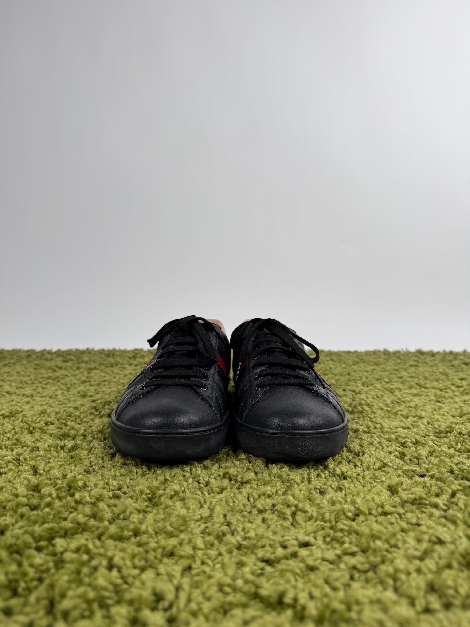 Gucci Ace Low Sneaker 43