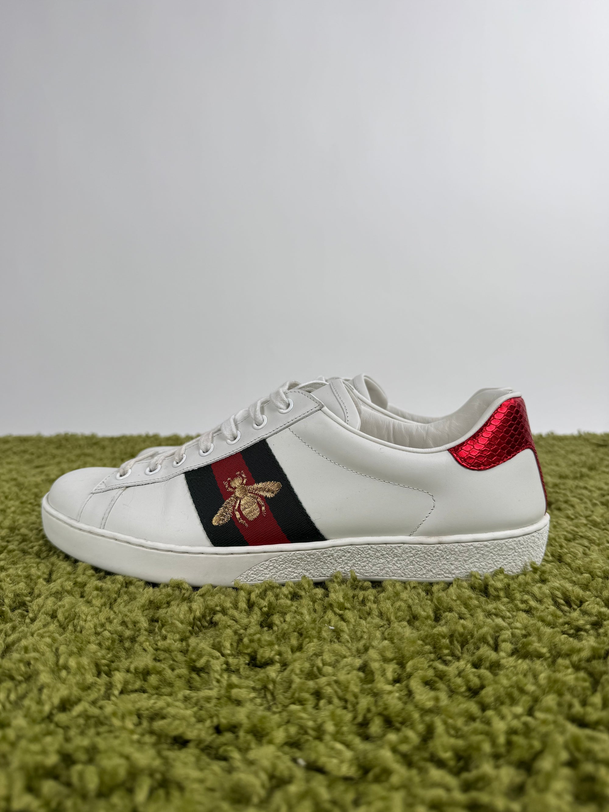 Gucci Ace Bianca 10