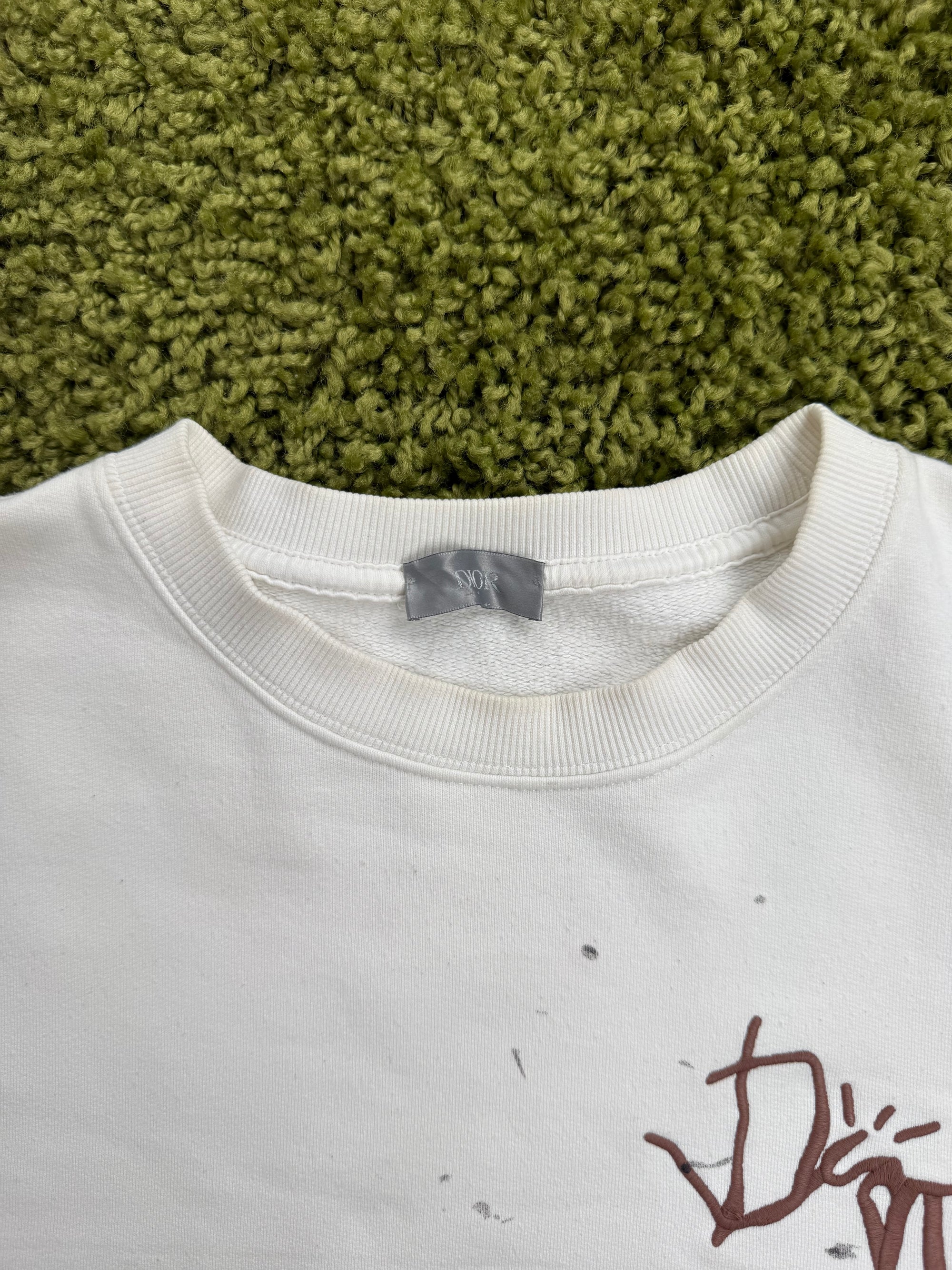 Felpa Dior X Cactus Jack L