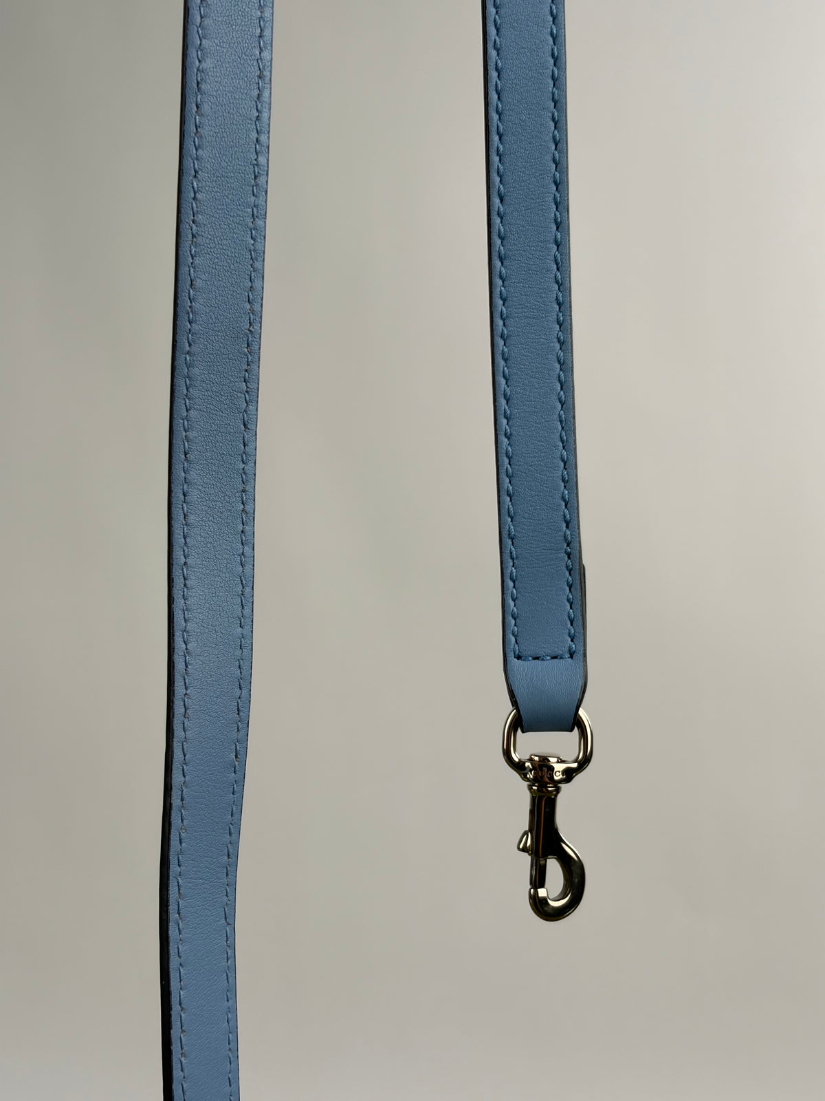 Borsa Dome Gucci Azzurra
