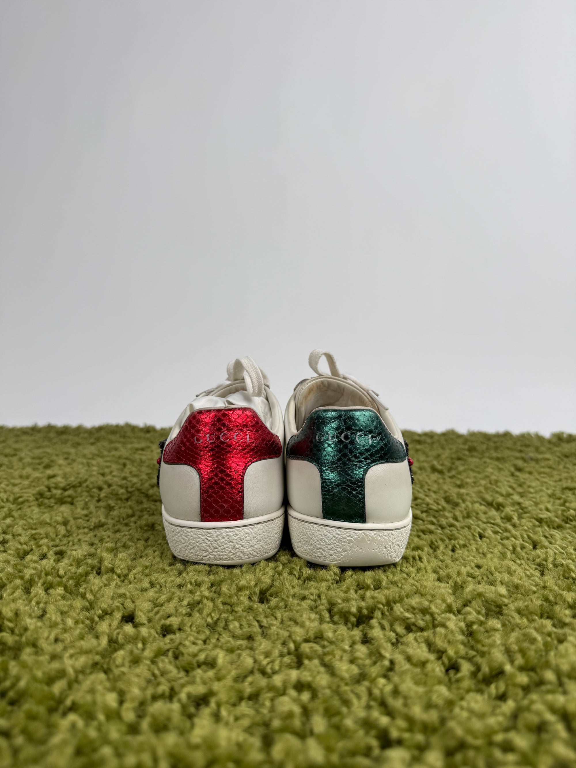 Gucci Ace Bianca 36