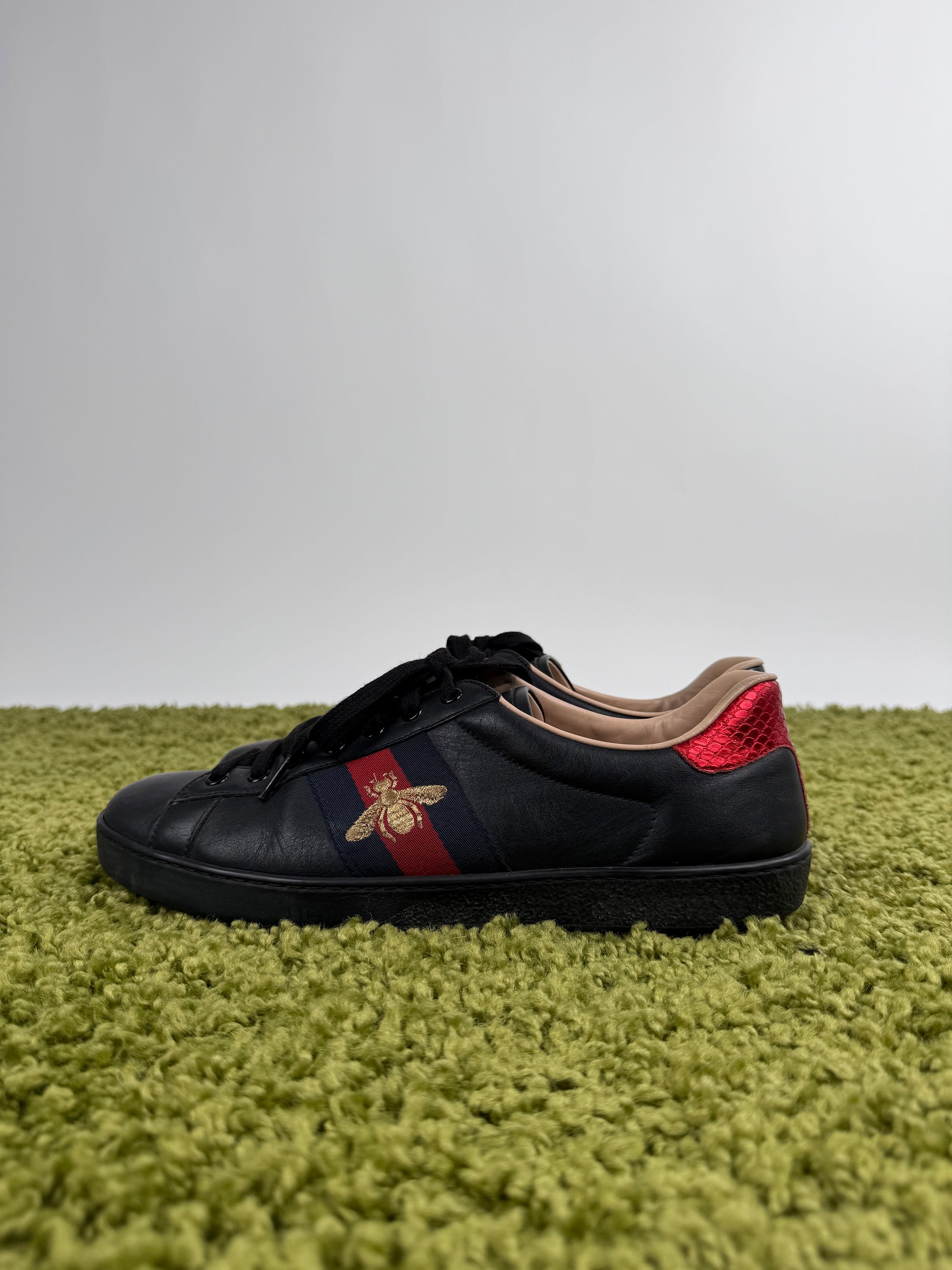 Gucci Ace Low Sneaker 43