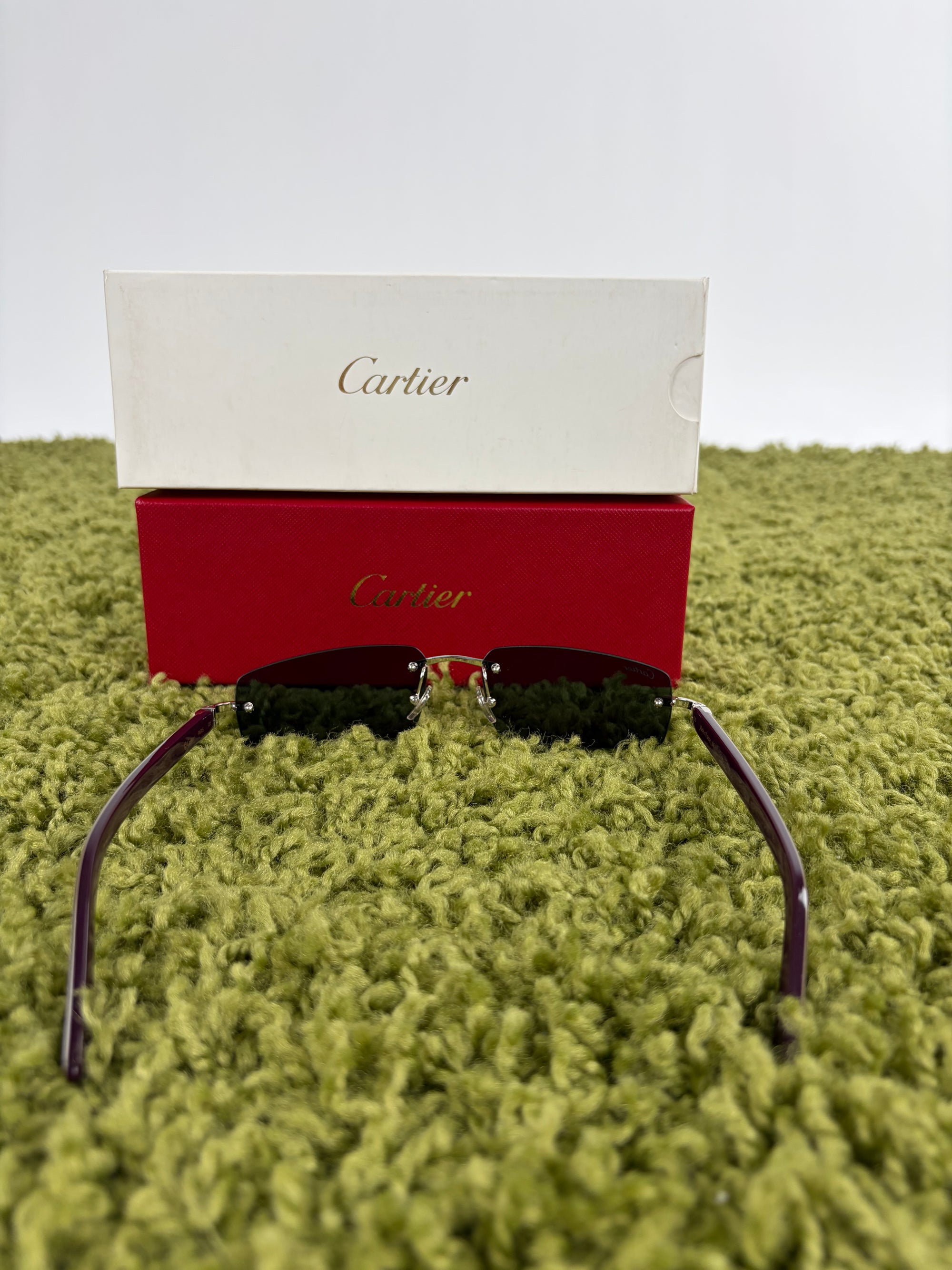 Occhiali Cartier 4754195 viola e neri