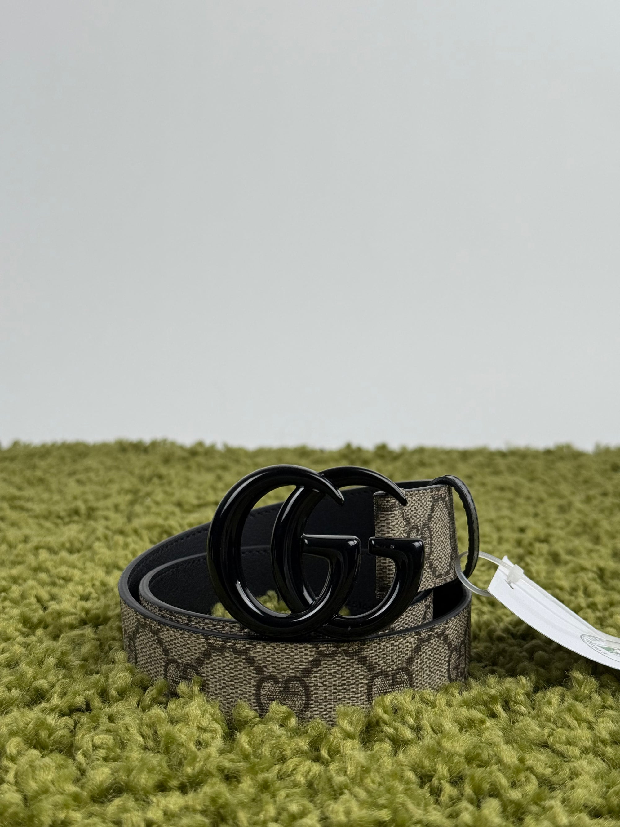 Cintura Gucci Beige con fibbia nera 65