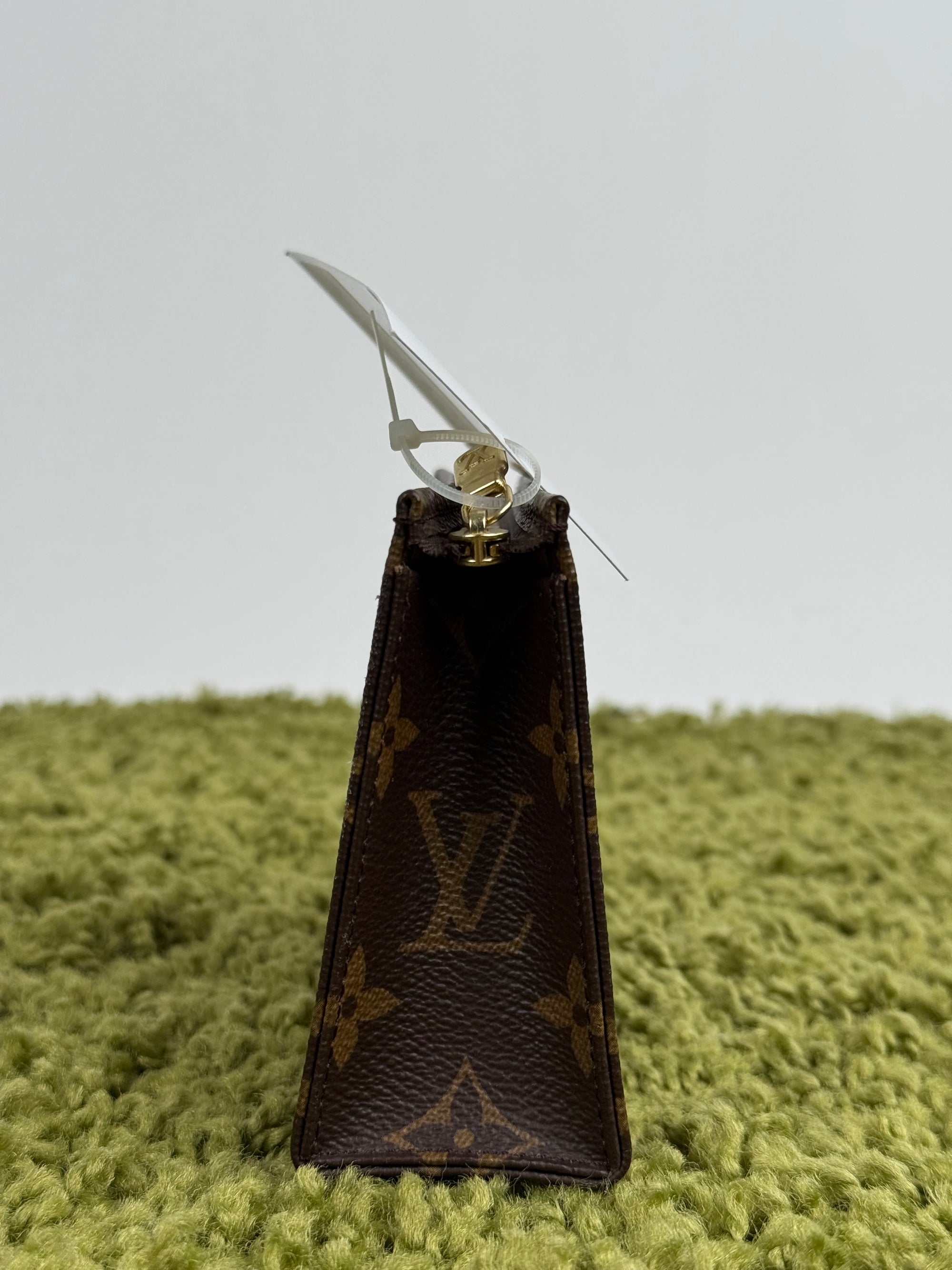 Mini Pochette Louis Vuitton Marrone