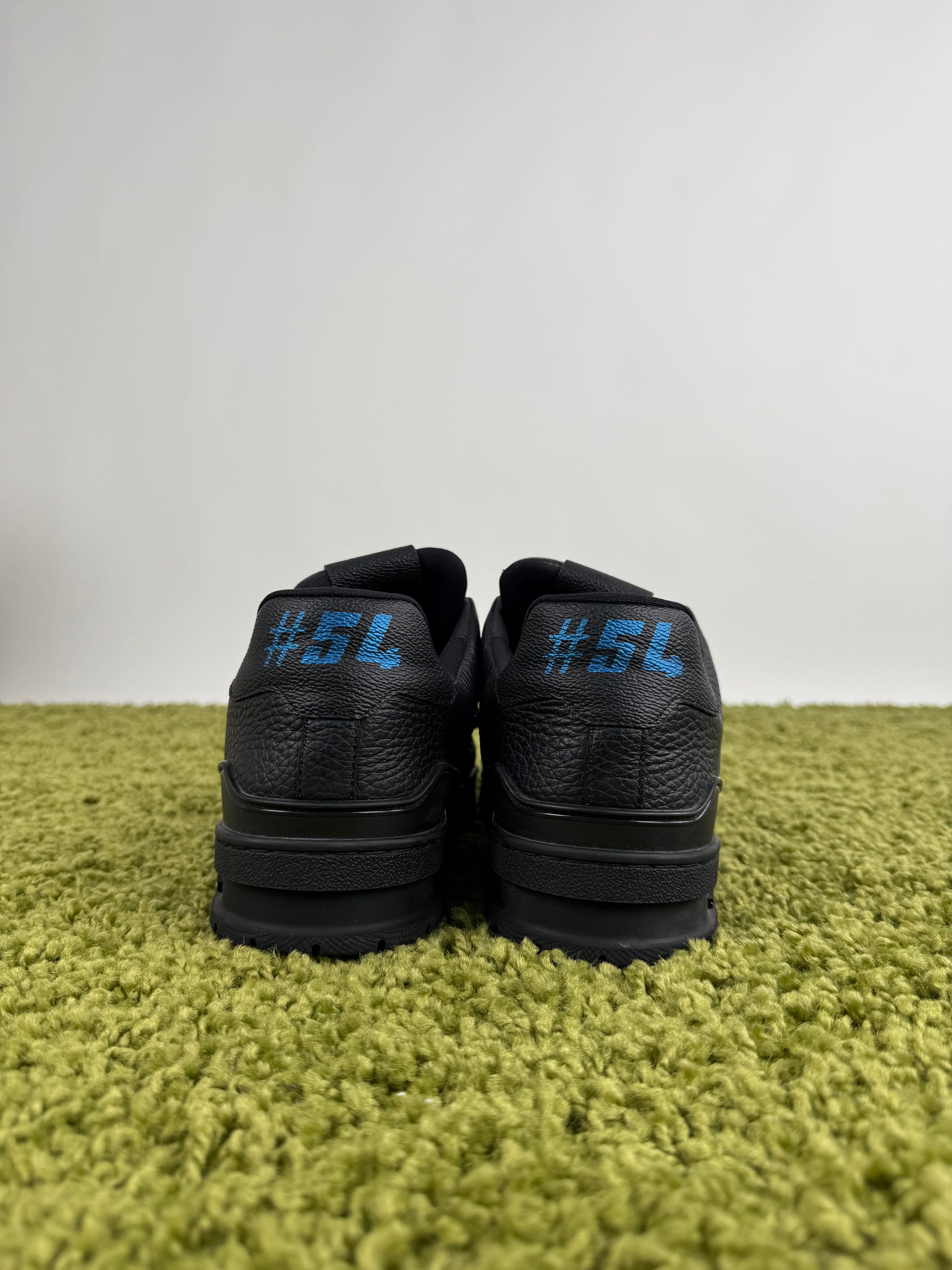 Louis Vuitton Trainer 44 veste 45