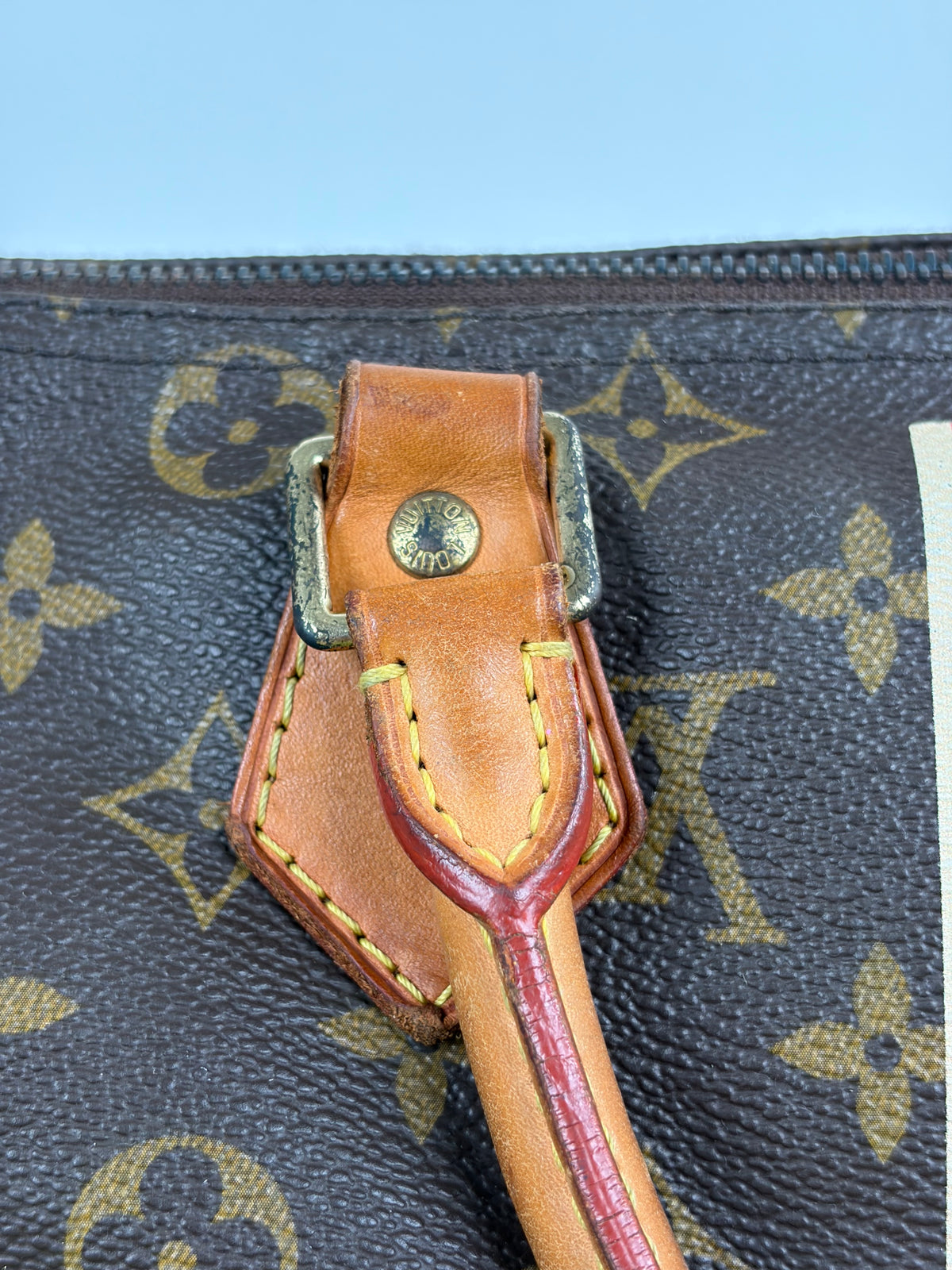 Borsa Louis Vuitton Speedy Marrone