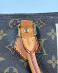 Borsa Louis Vuitton Speedy Marrone