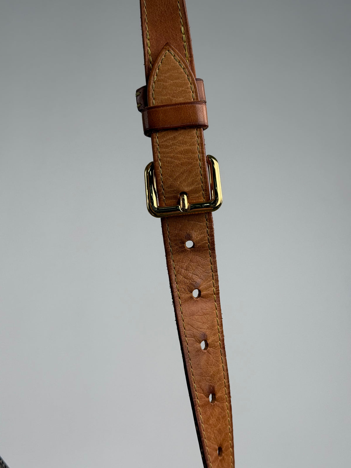 Marsupio BumBag Louis Vuitton Marrone