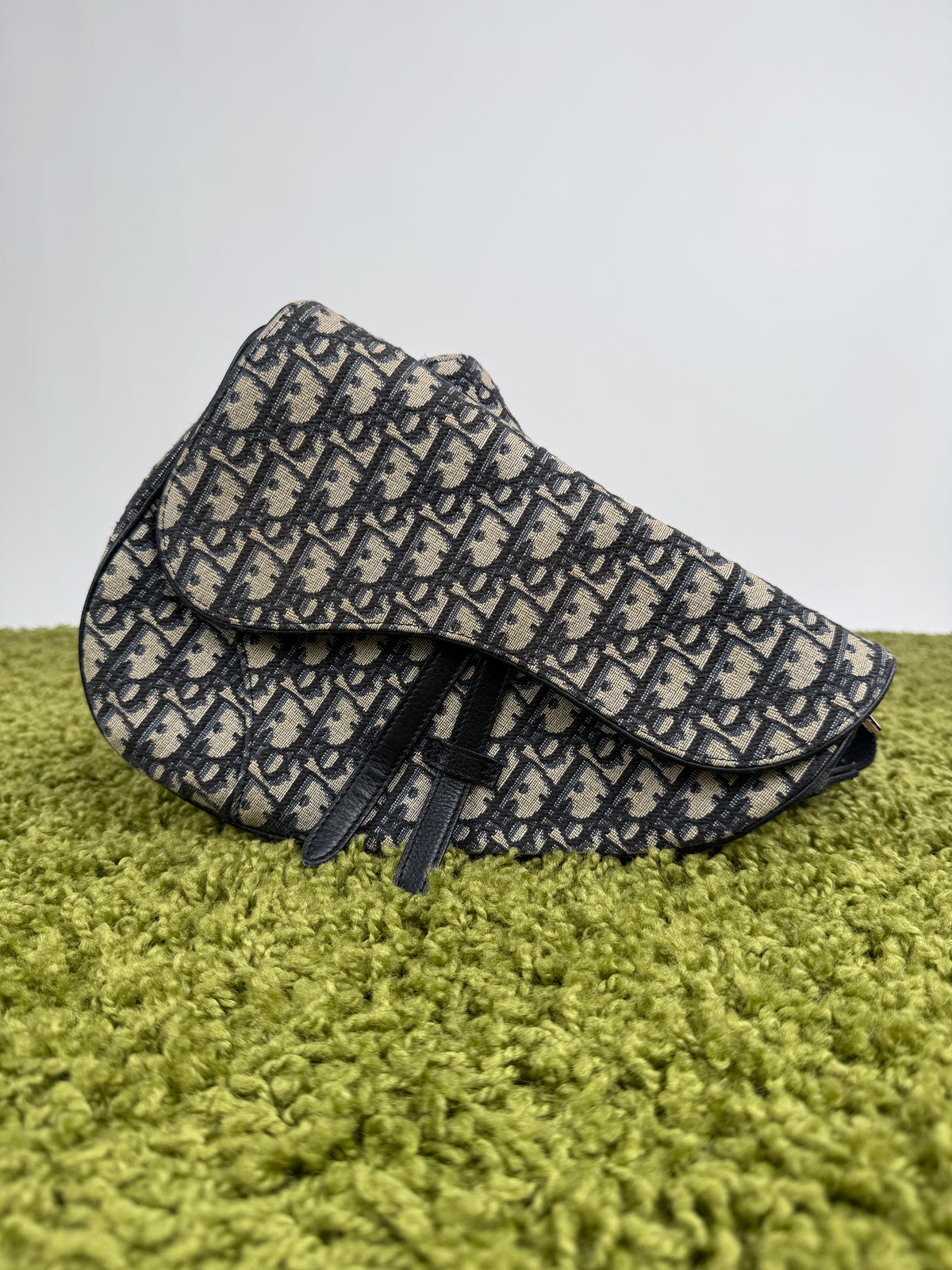 Borsa Saddle Christian Dior In oblique Beige Blu