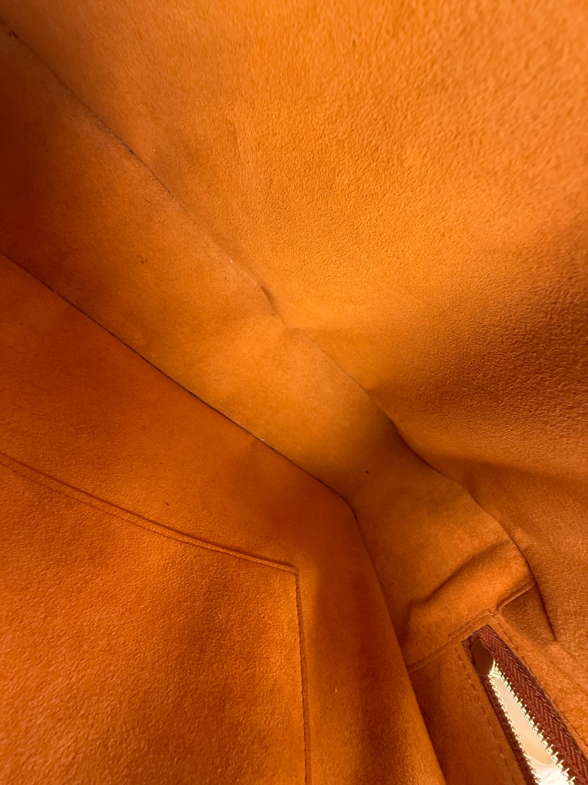 Borsa Voltaire Louis Vuitton In pelle Marrone