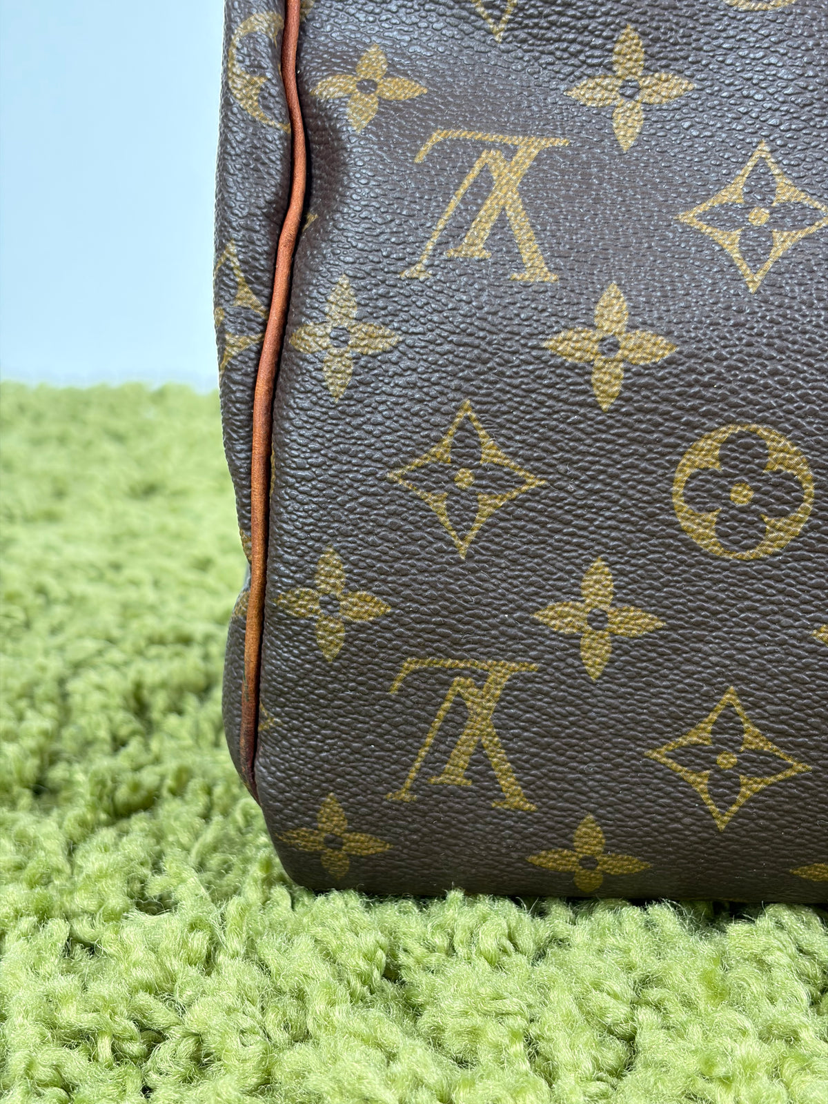Borsa Louis Vuitton Speedy Marrone