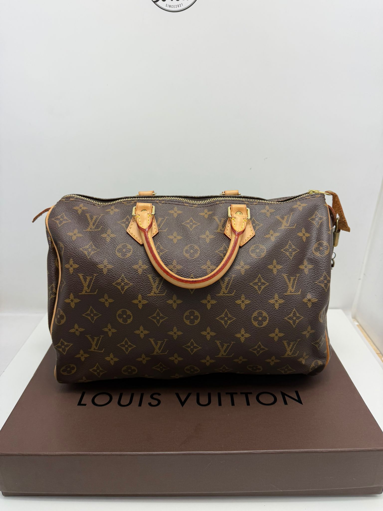 borsa Louis Vuitton marrone