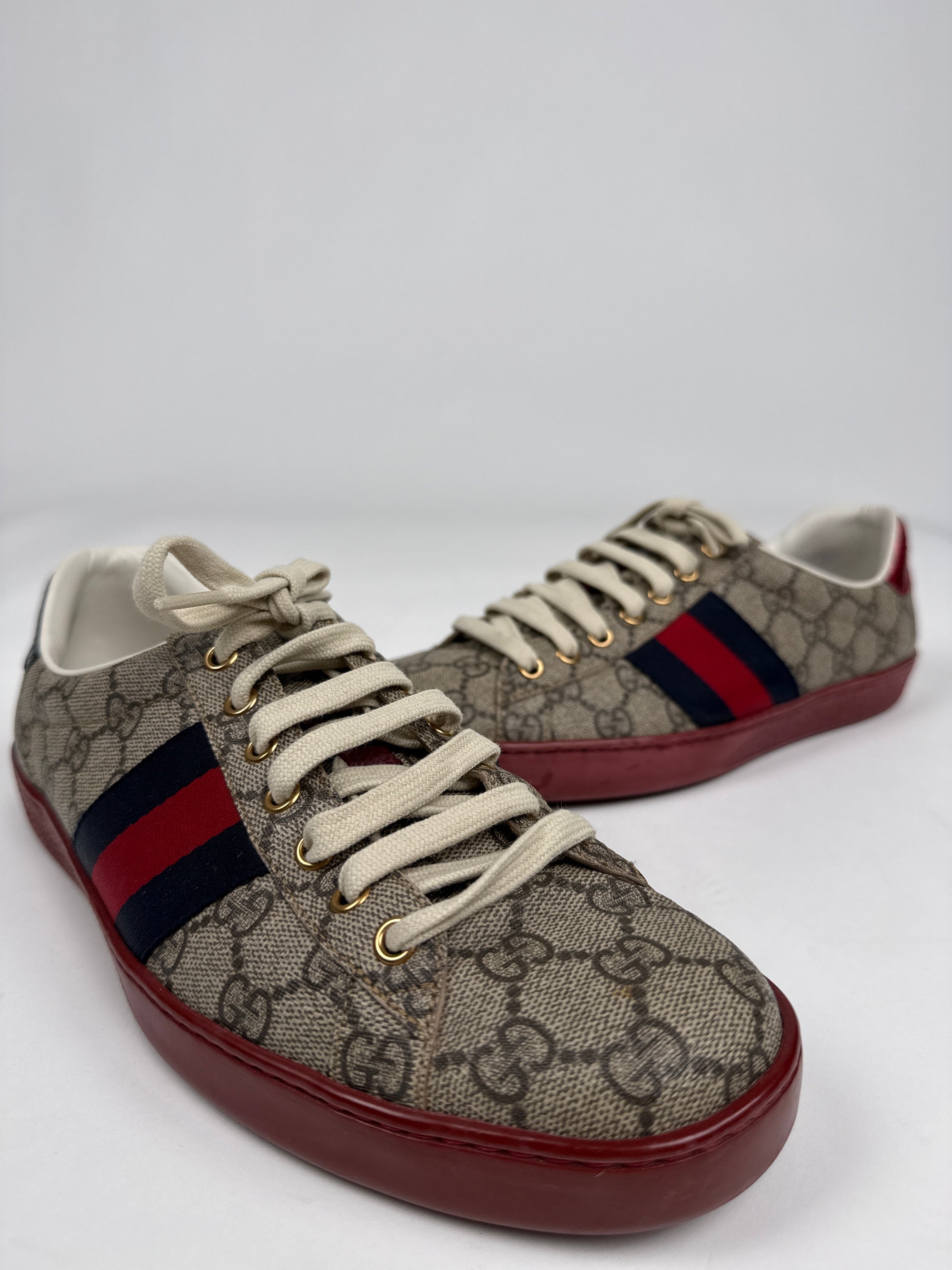 Sneaker Gucci Ace Supreme