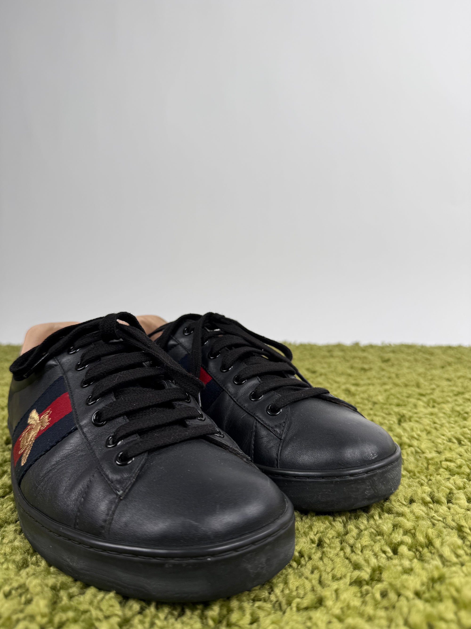 Gucci Ace Low Sneaker 43