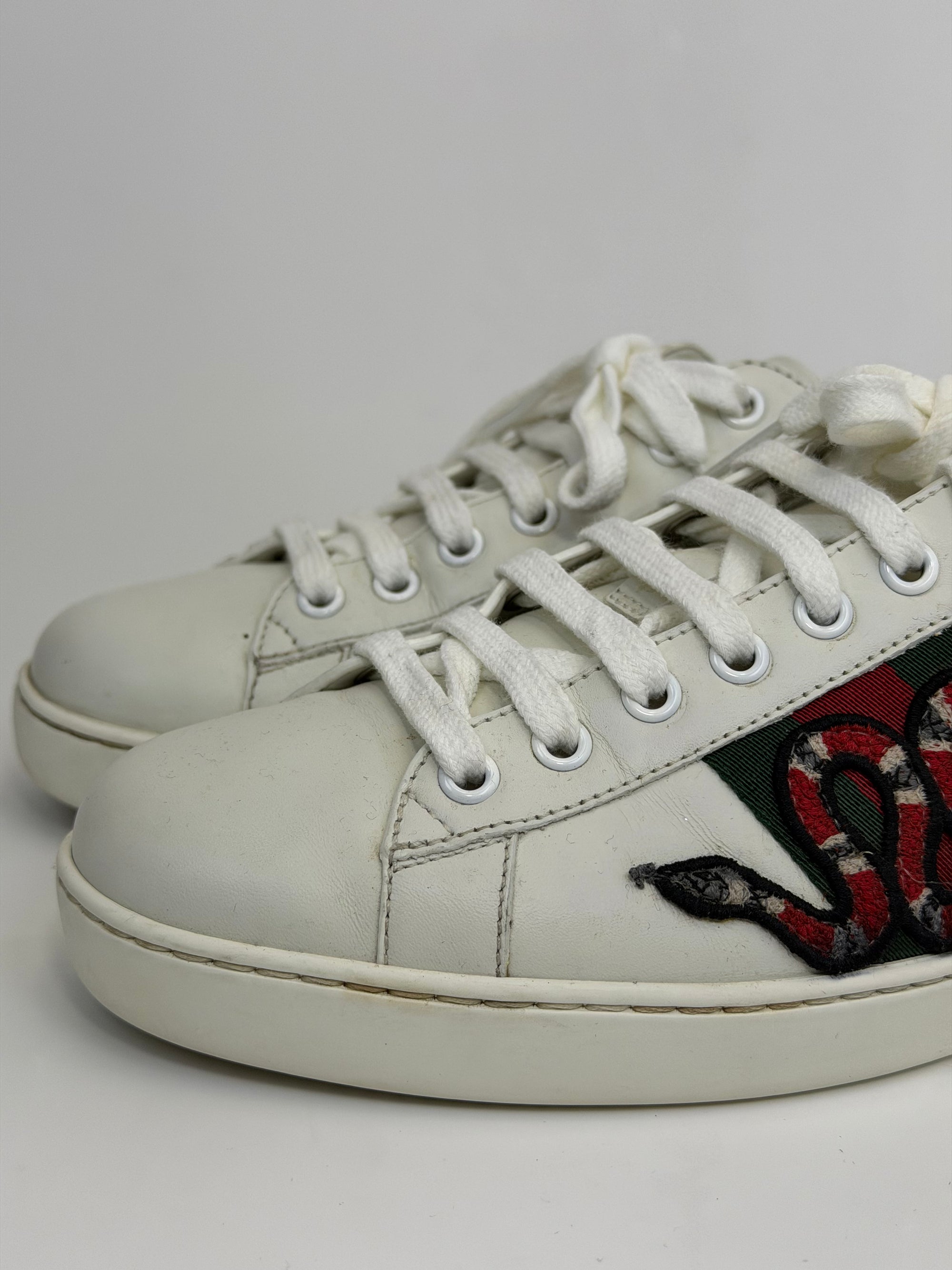 Gucci ace con serpente
