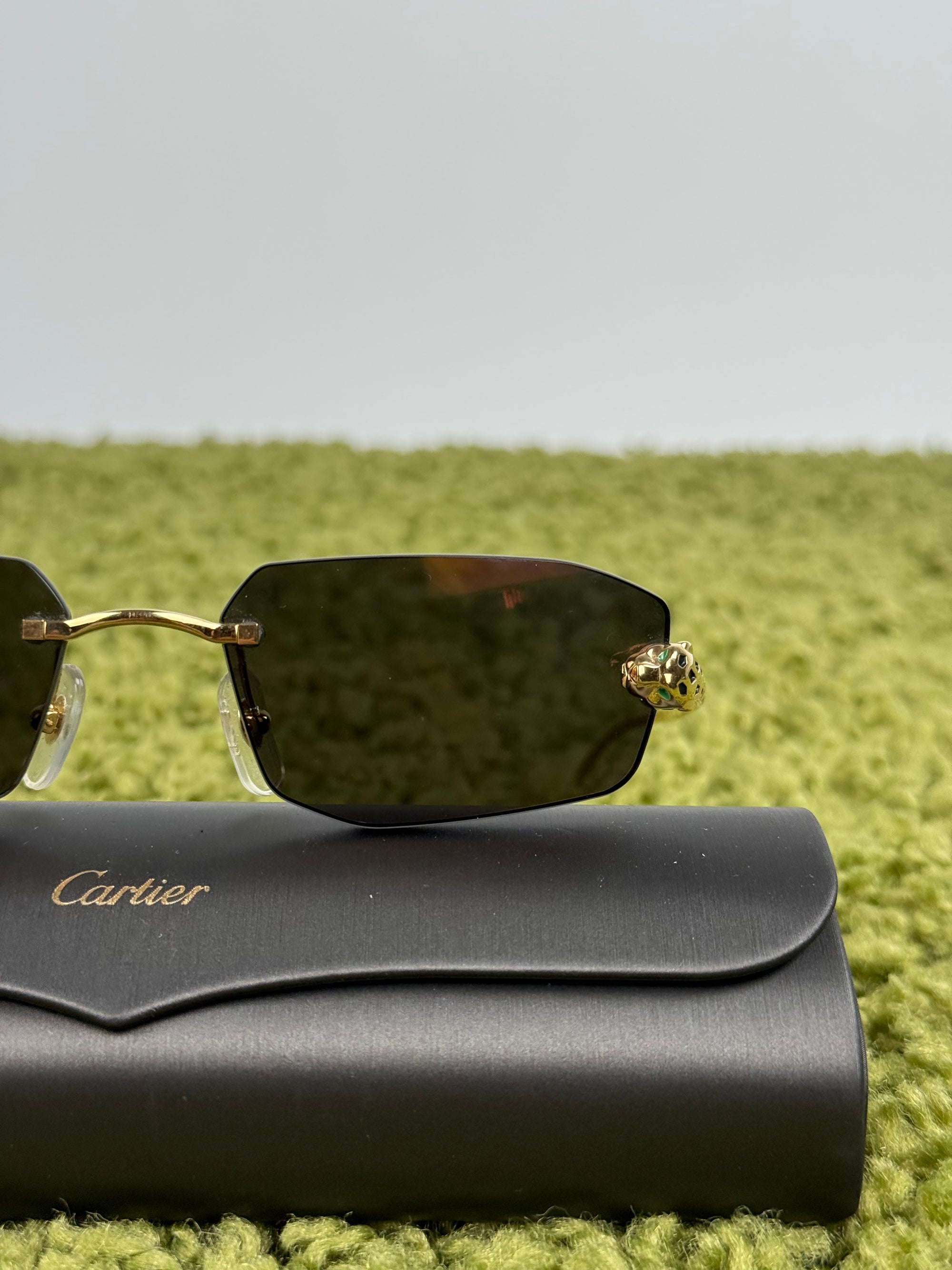 Cartier Panthère de Cartier con aste oro
