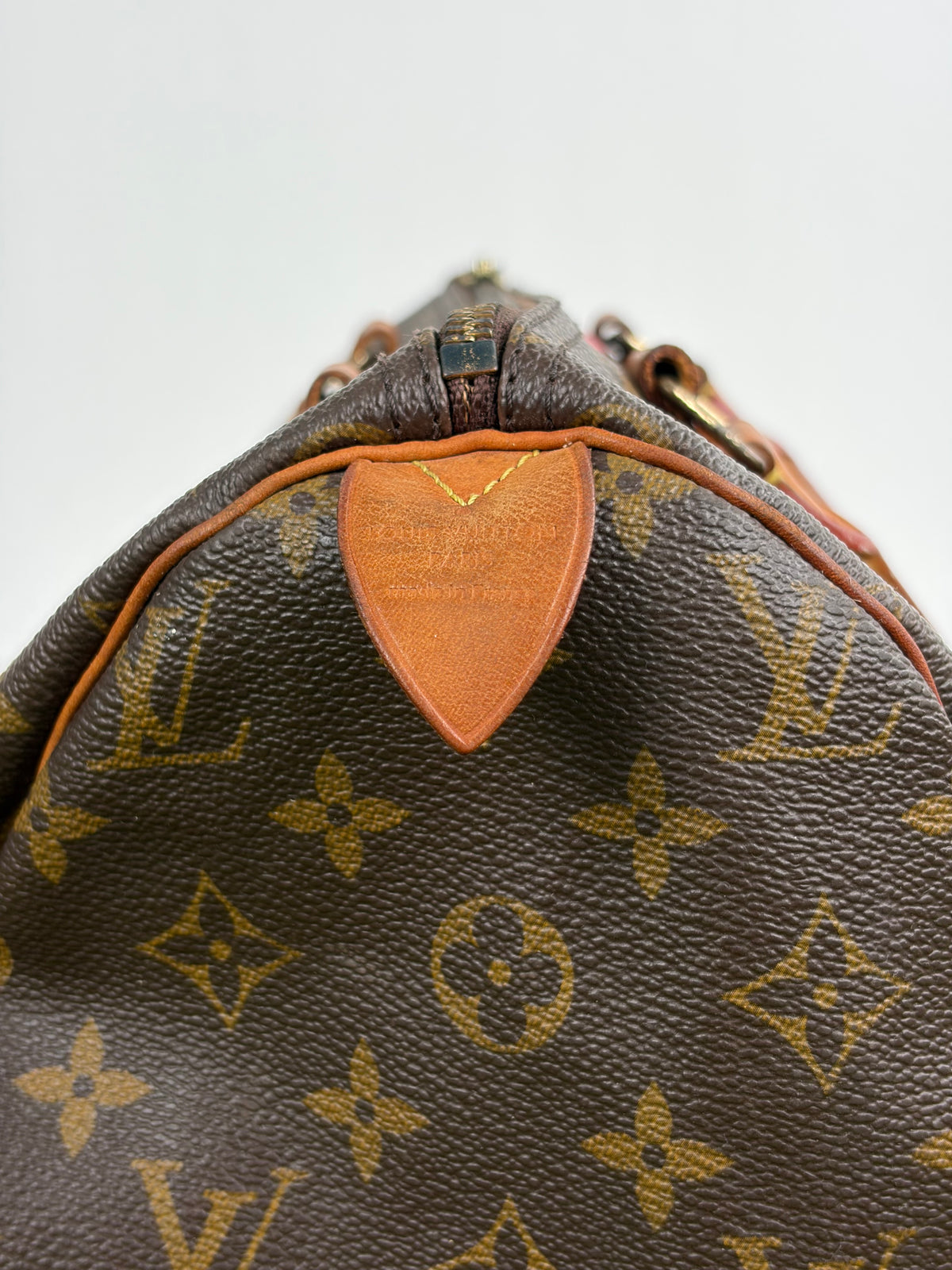 Borsa Louis Vuitton Speedy Marrone