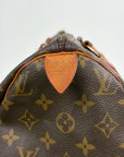 Borsa Louis Vuitton Speedy Marrone
