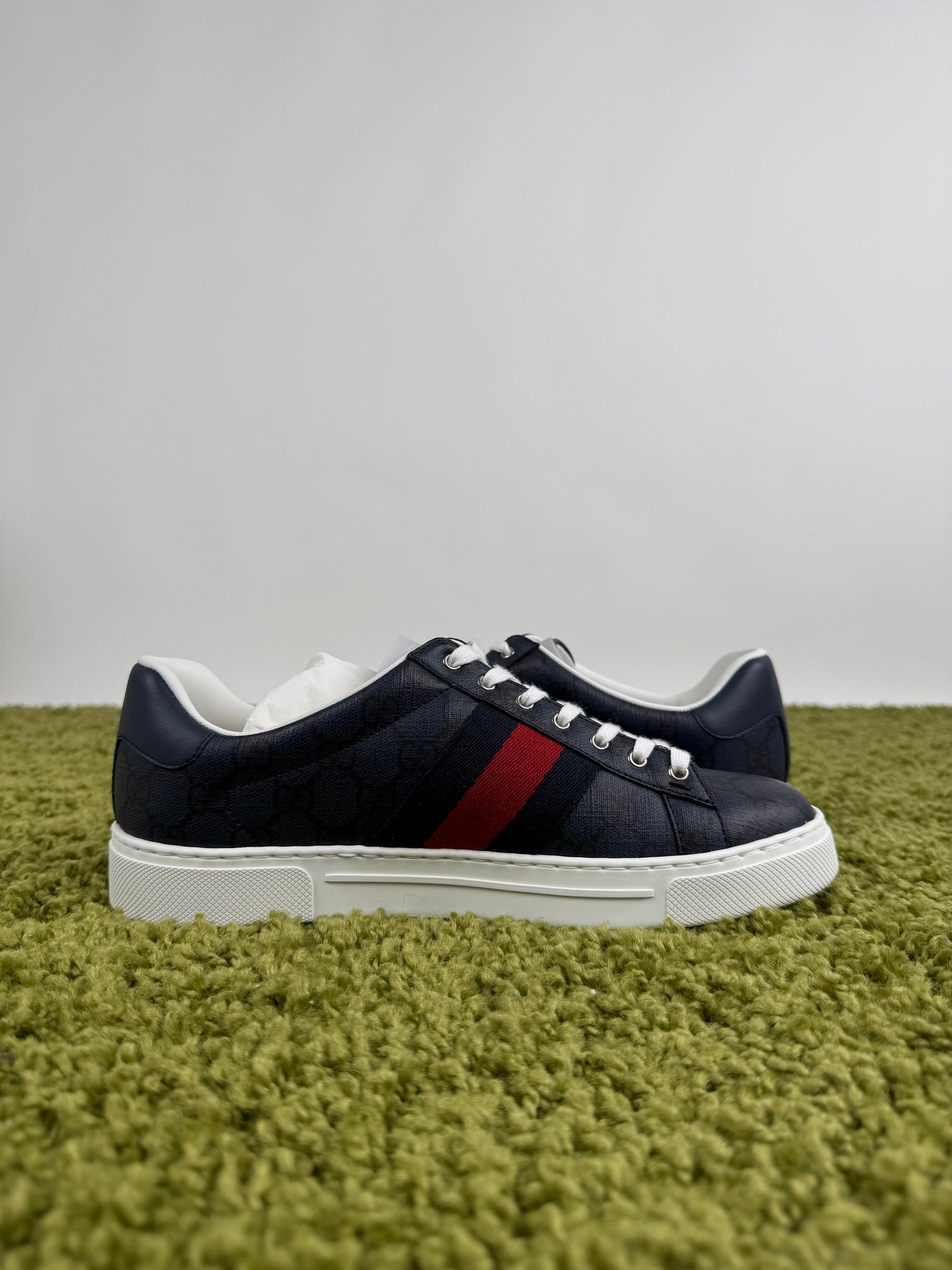 Gucci Ace Sneaker 40,5 veste 41