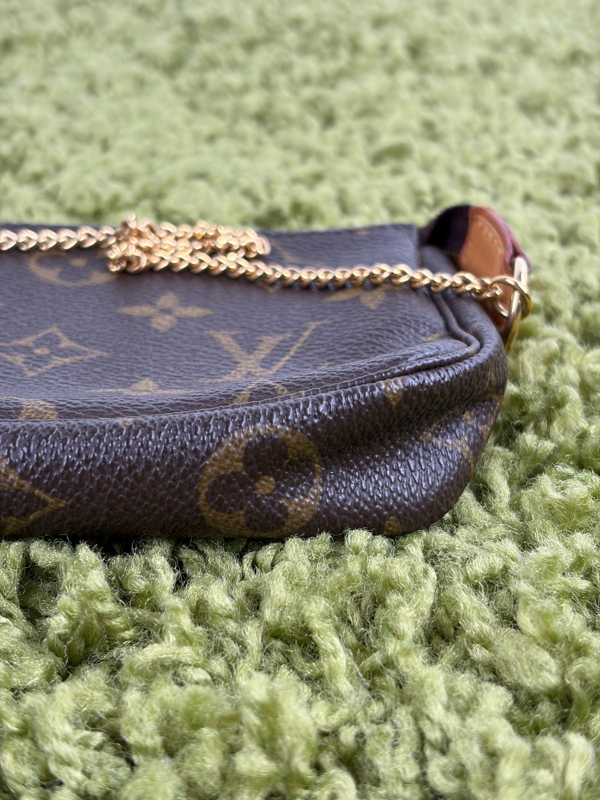 Mini Borsa Louis Vuitton Marrone