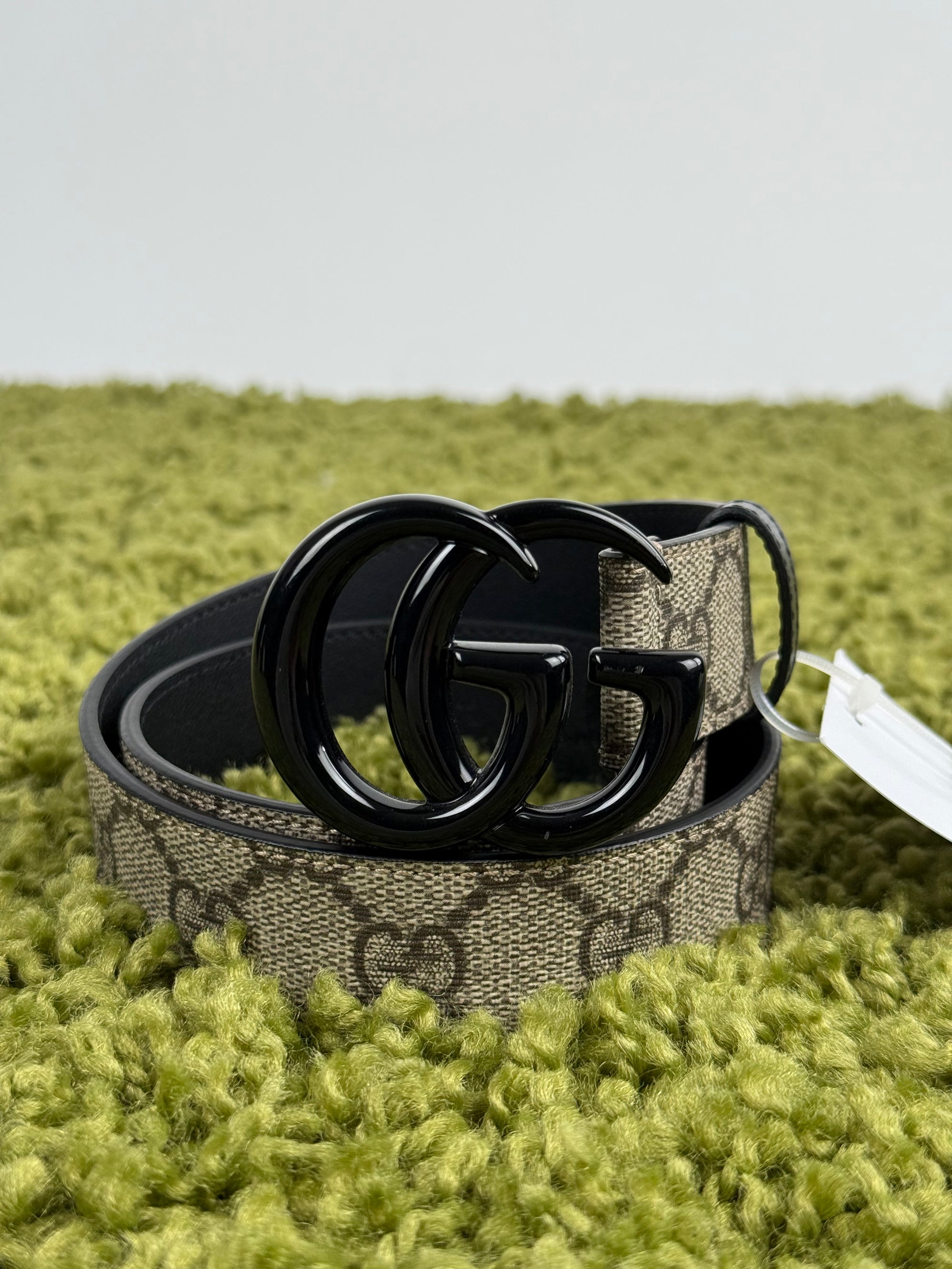 Cintura Gucci Beige con fibbia nera 65