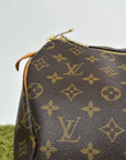 Borsone da viaggio Keepal Louis Vuitton Marrone