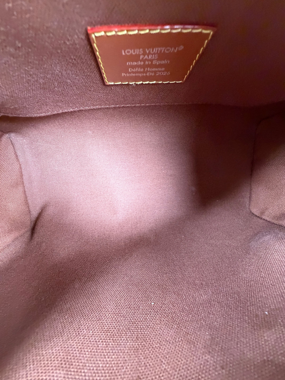 Borsa Louis Vuitton Bandoulière 25 Multicolor