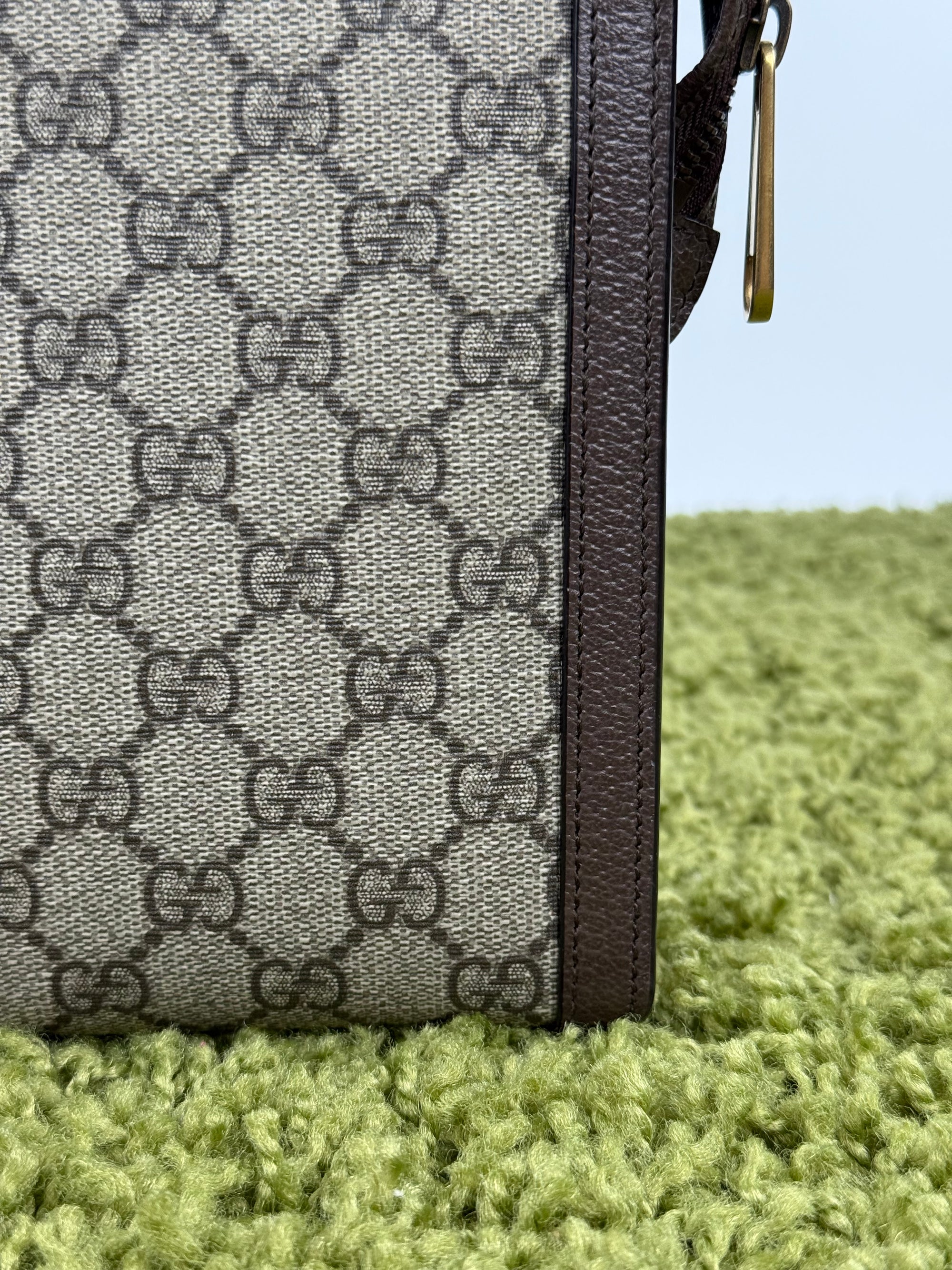 Pochette Ophidia Gucci Beige