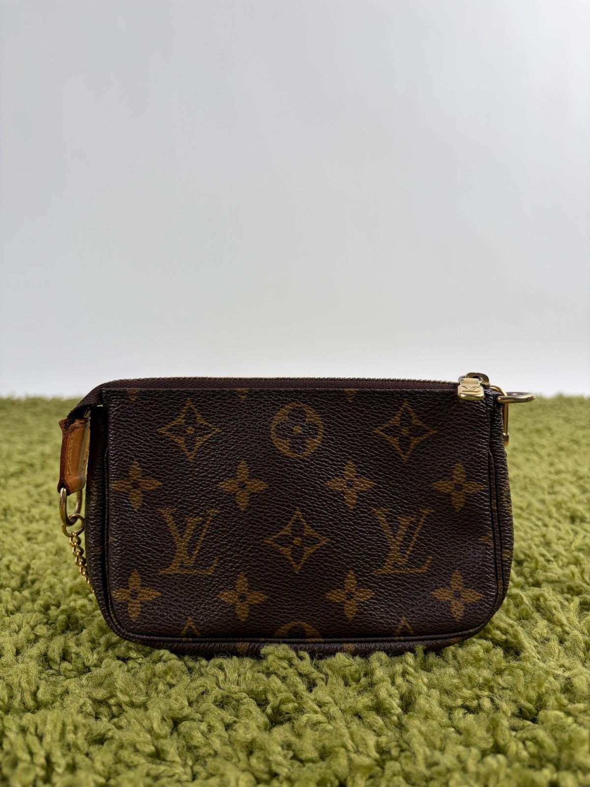 Mini Borsa Louis Vuitton Marrone - Second Hand Di Fiore