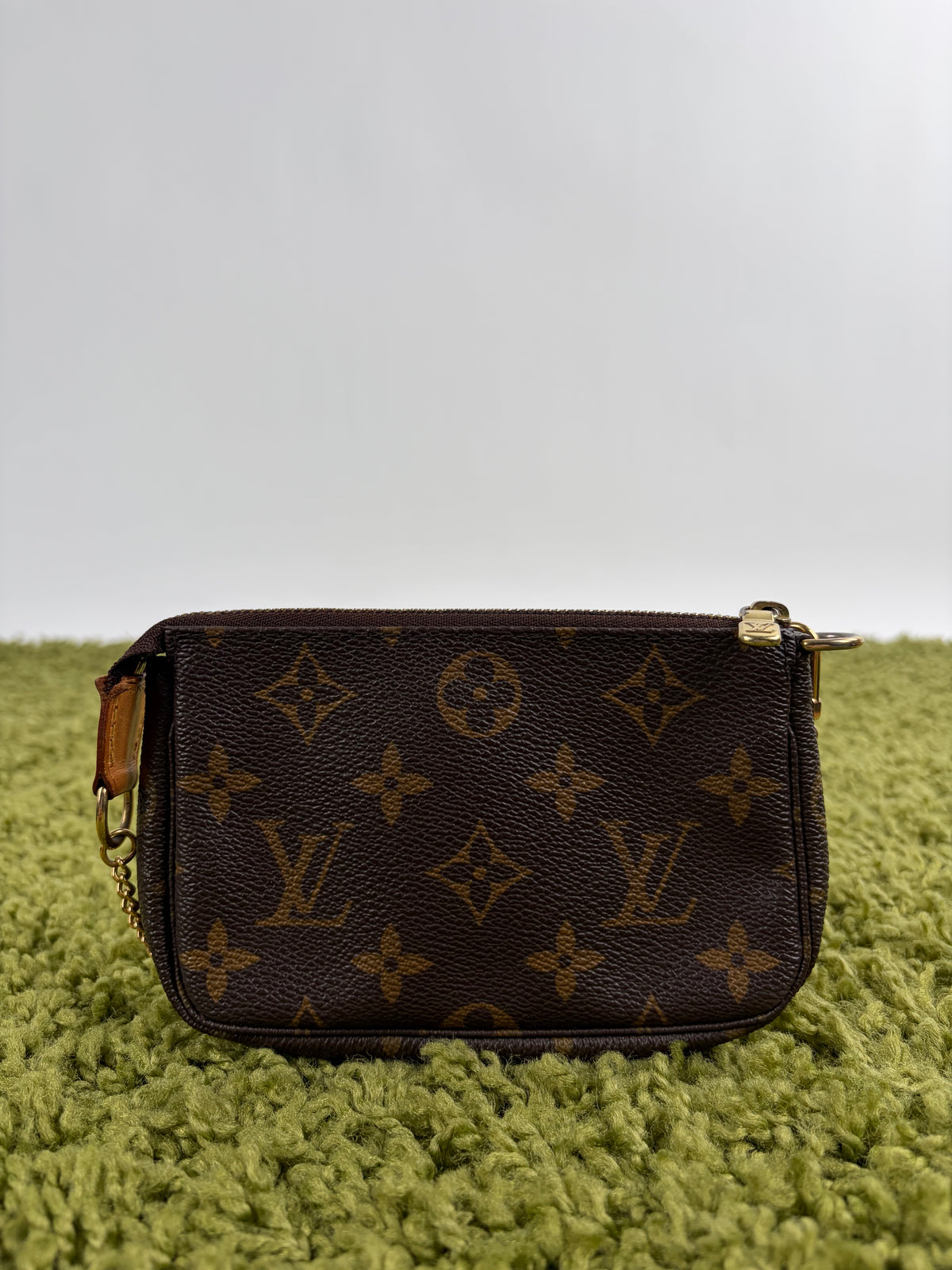 Mini Borsa Louis Vuitton Marrone
