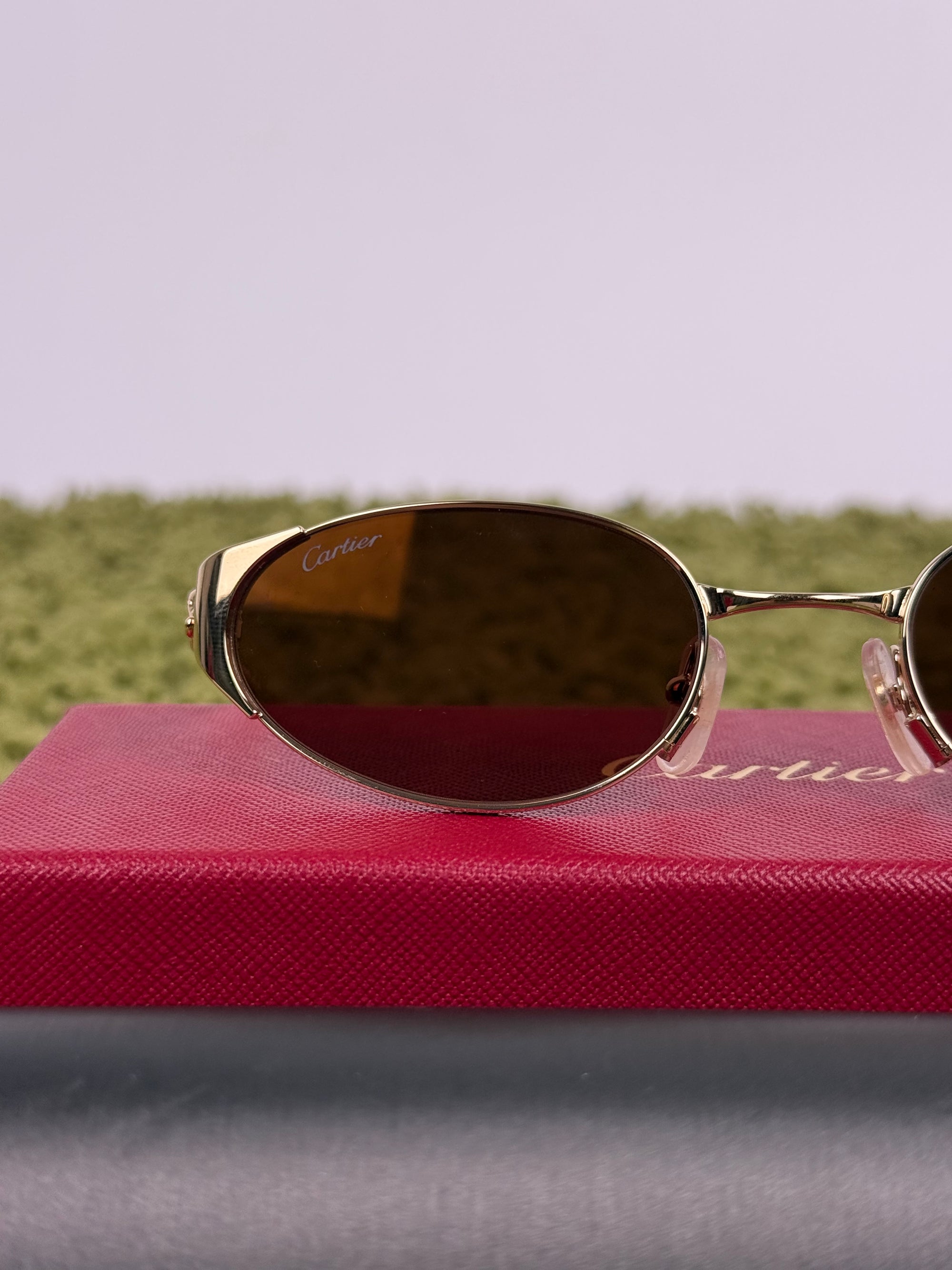Occhiali Cartier Panthére CT0630S 002