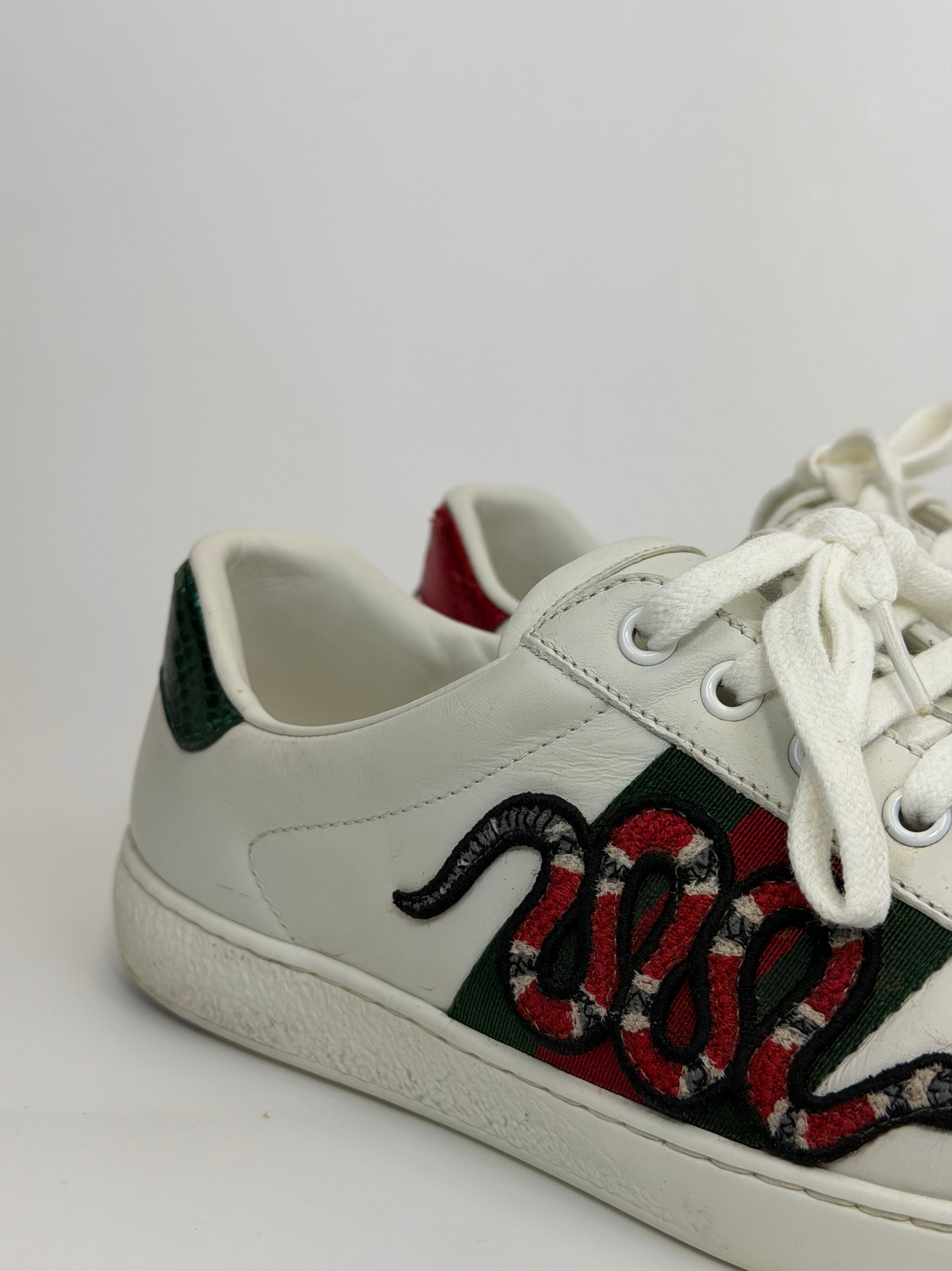 Gucci ace con serpente