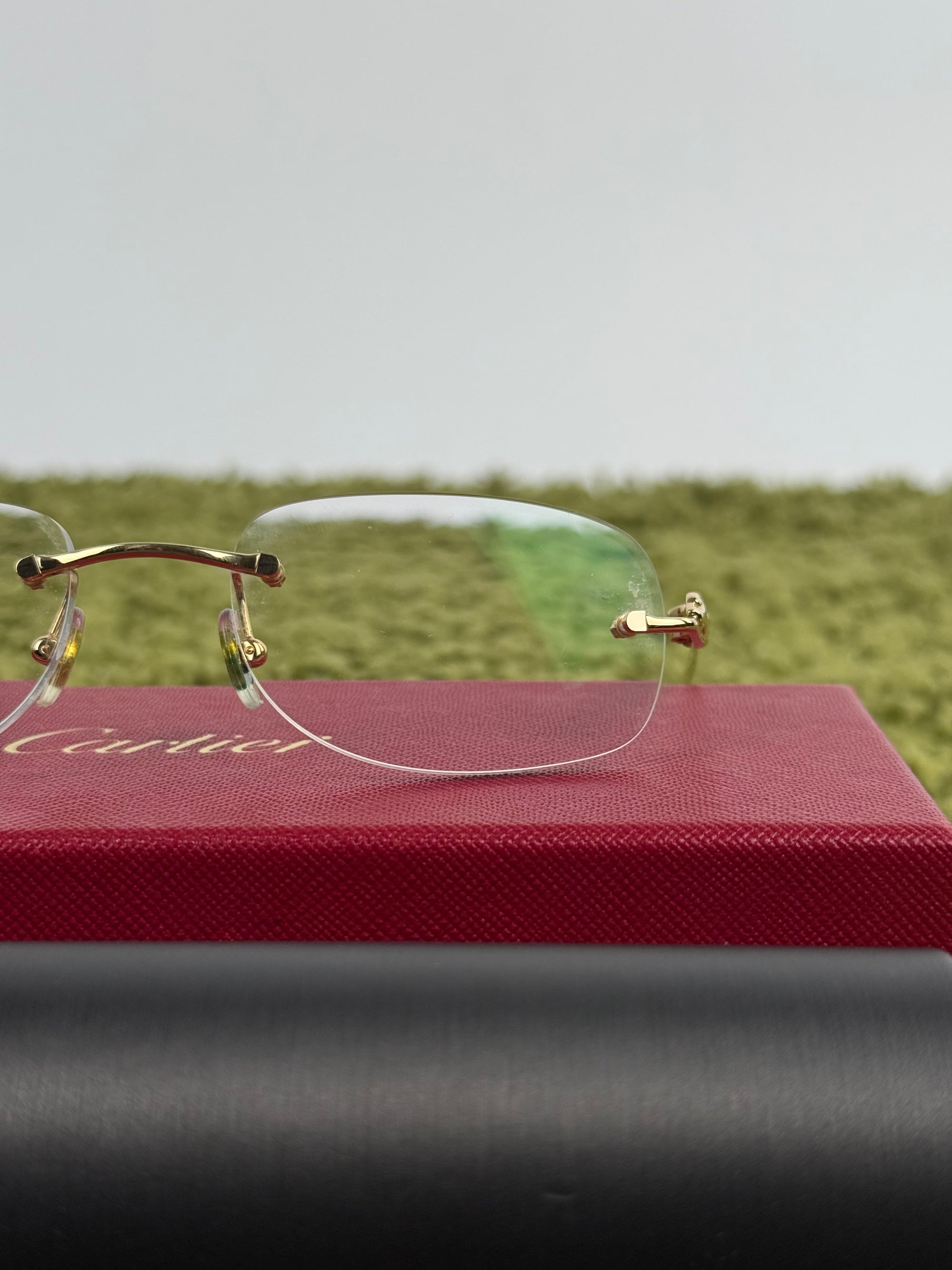 Occhiali Cartier Con Lenti Graduate da sostituire