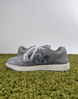 Christian Dior B27 Grigie 45