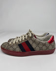 Sneaker Gucci Ace Supreme