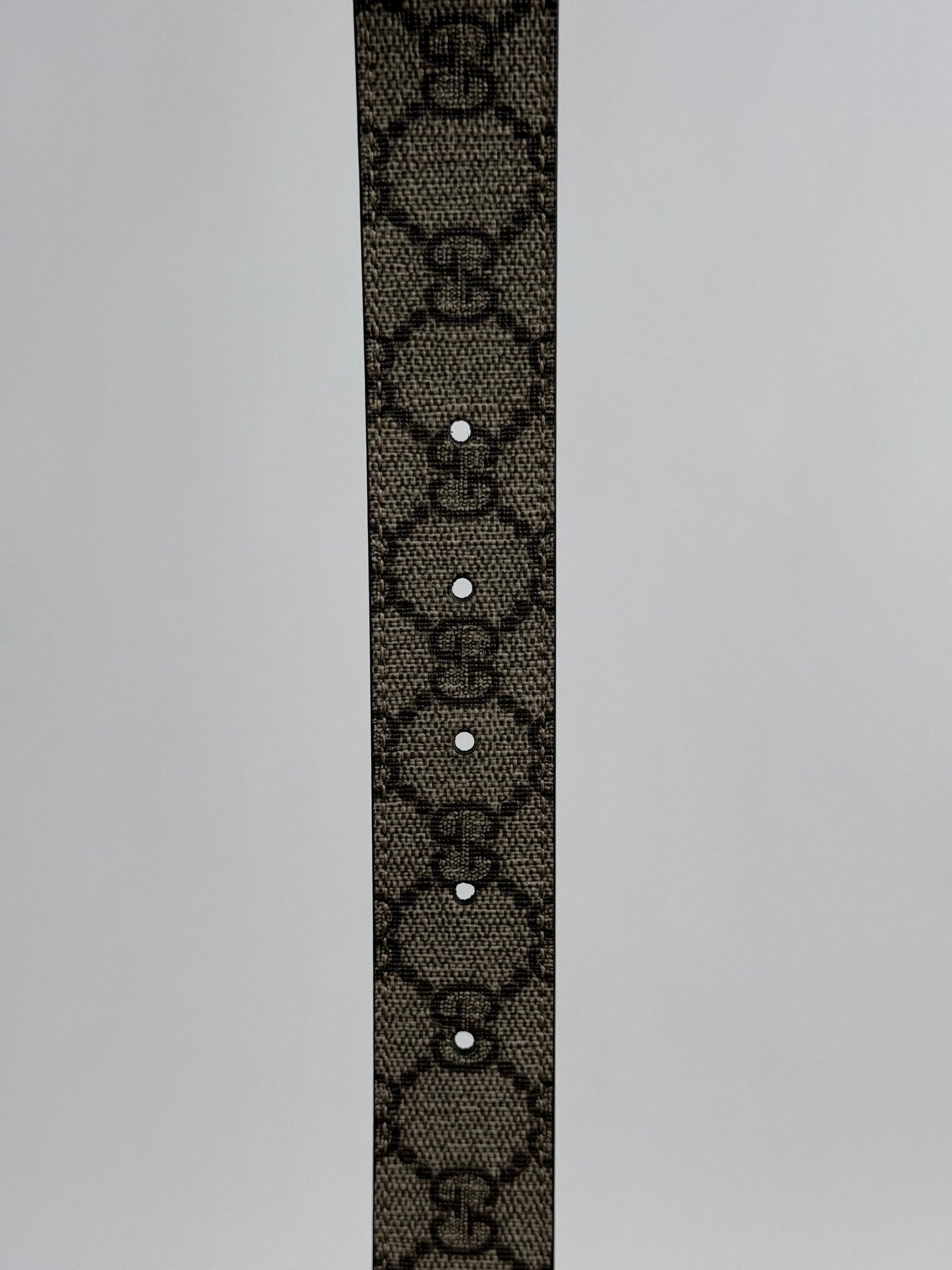Cintura Gucci Beige con fibbia nera 65