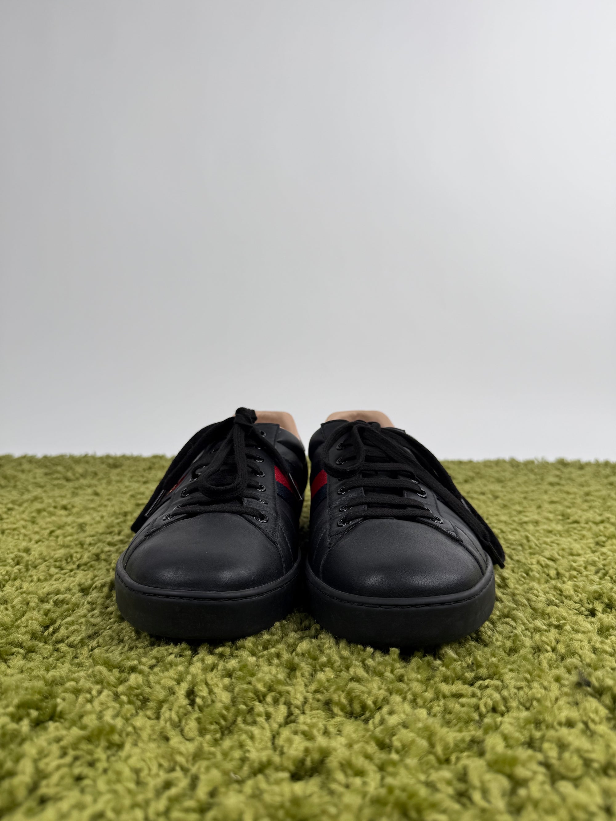 Gucci Ace 45 veste 45.5
