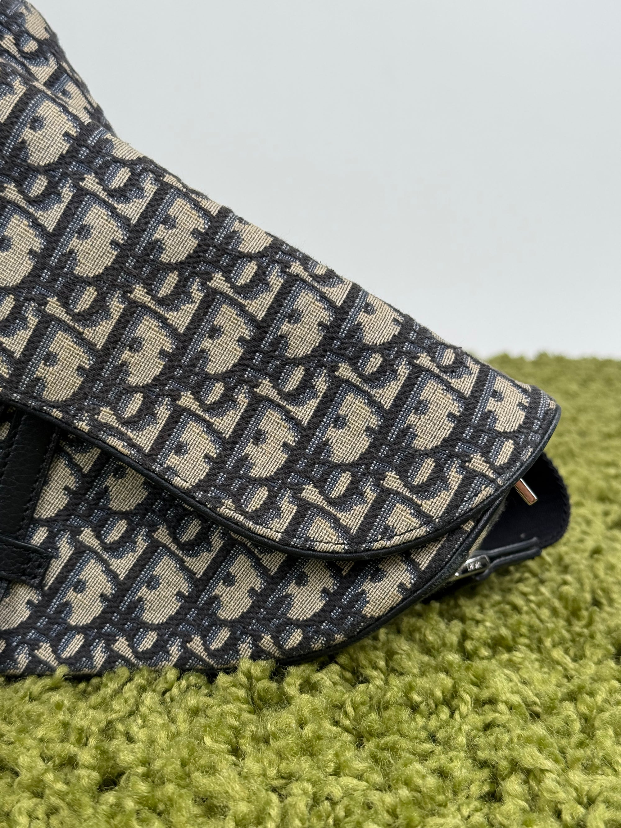 Borsa Saddle Christian Dior In oblique Beige Blu